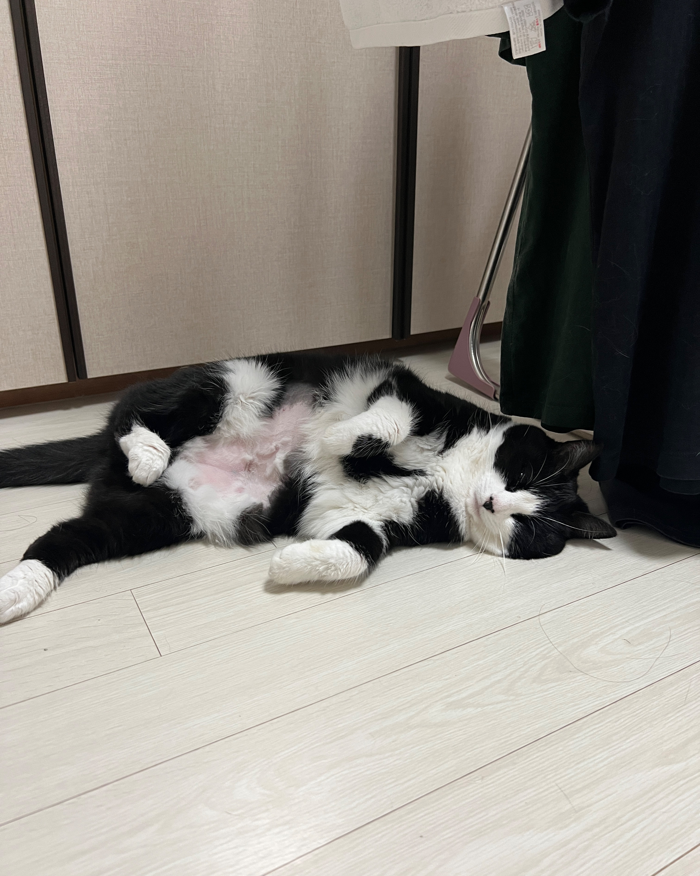 리뷰 사진 3