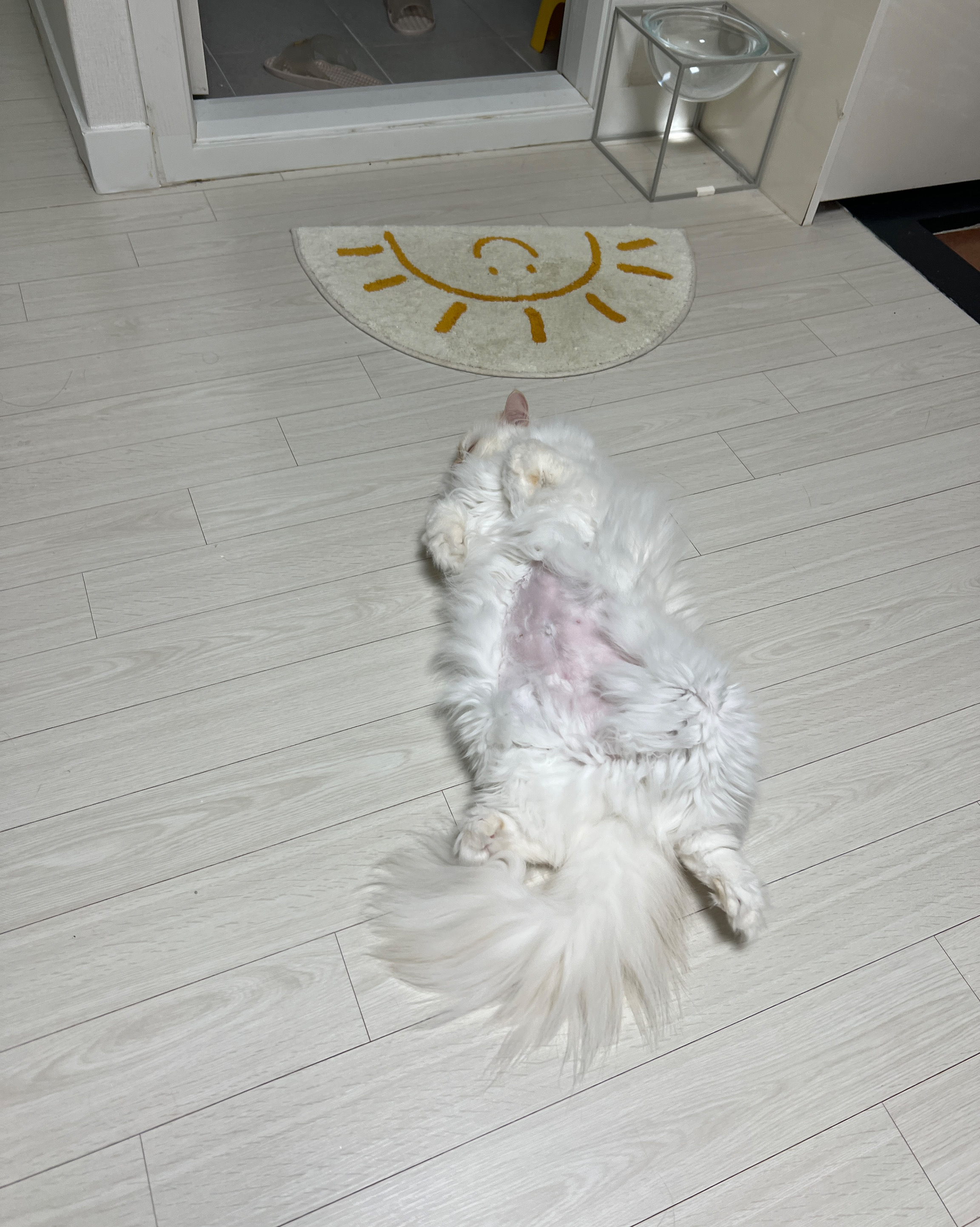 리뷰 사진 4