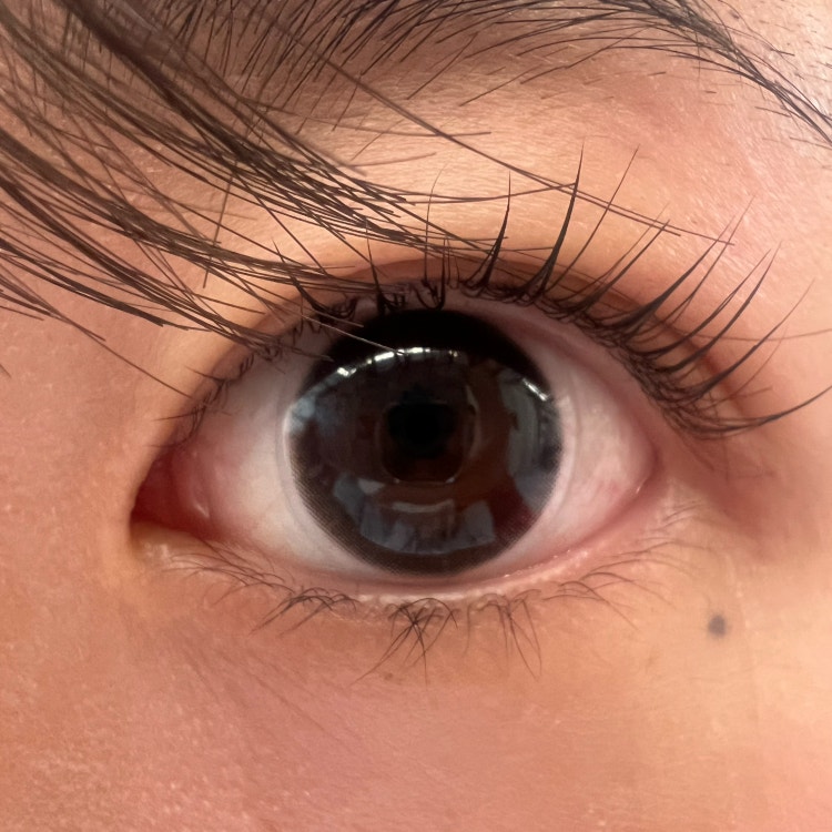 대전 서구 대전 속눈썹펌