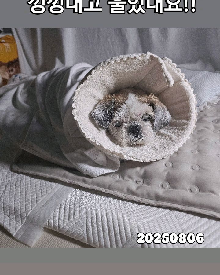 리뷰 사진 4