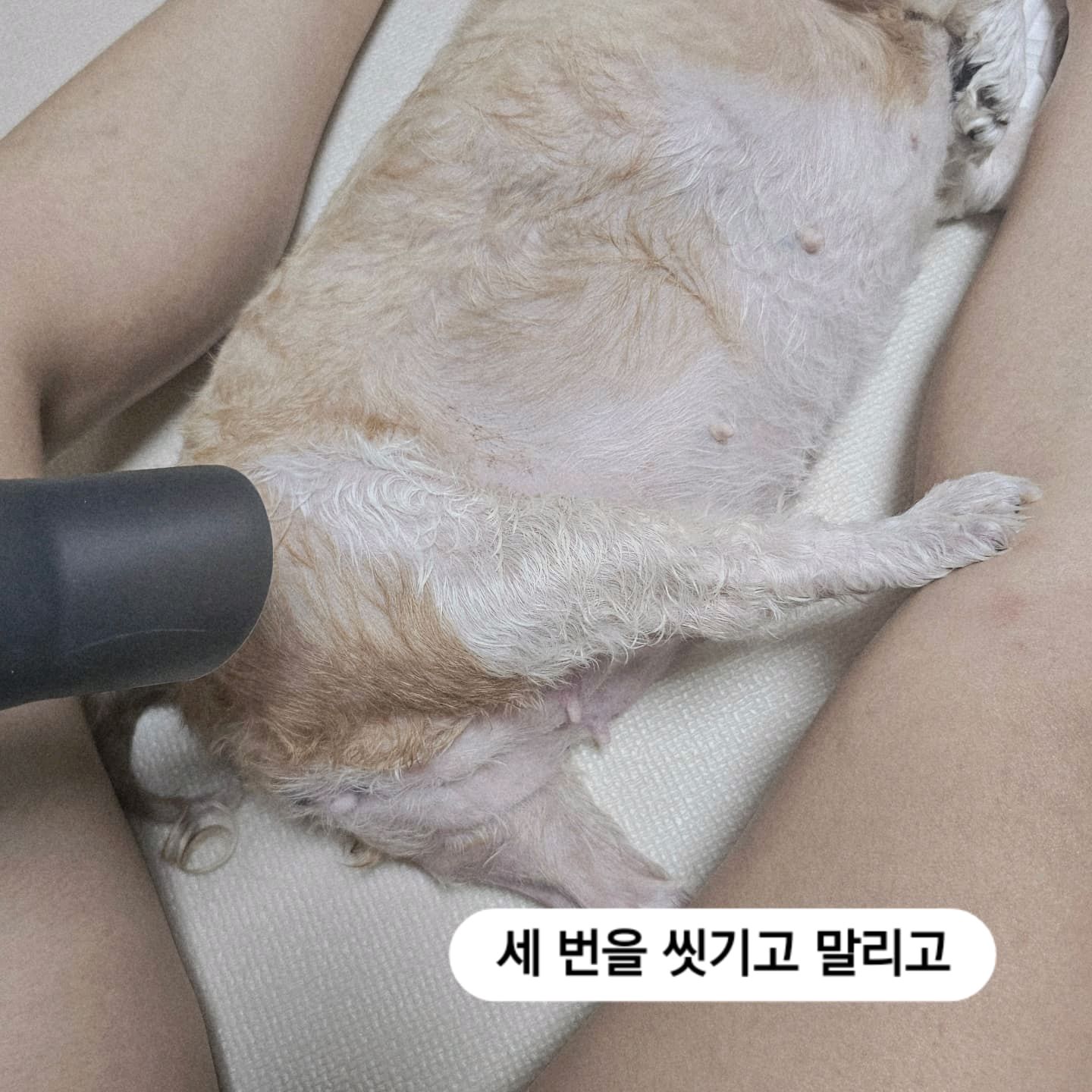 리뷰 사진 2