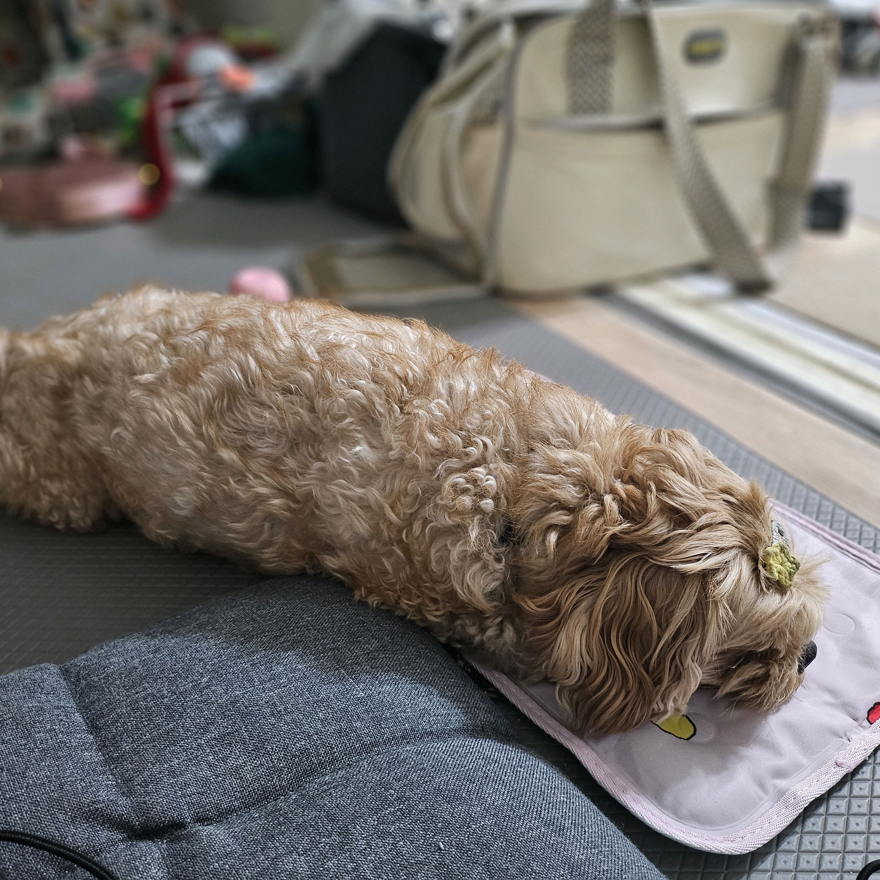 리뷰 사진 1