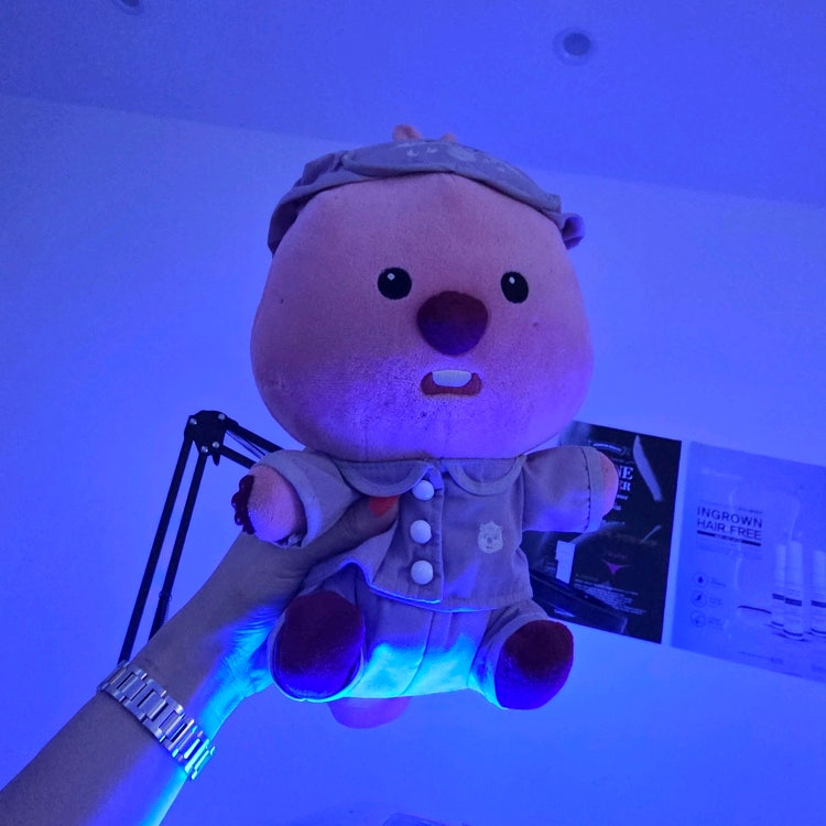 천안 브라질리언