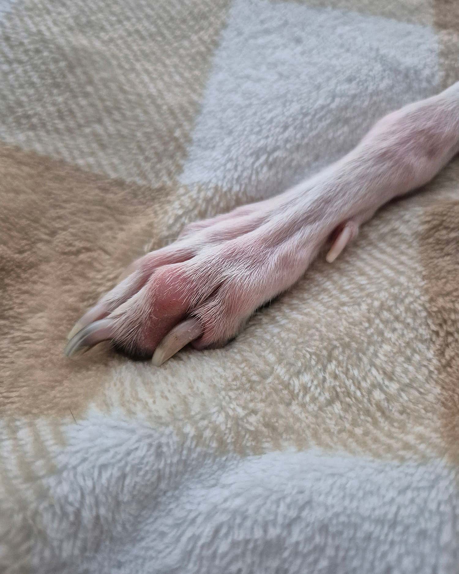 방문자리뷰사진