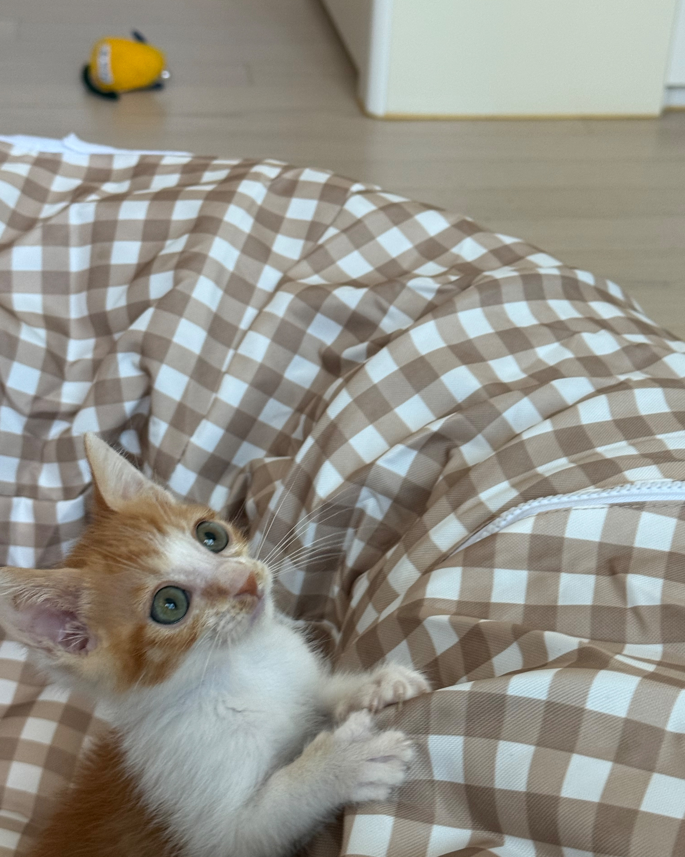리뷰 사진 1