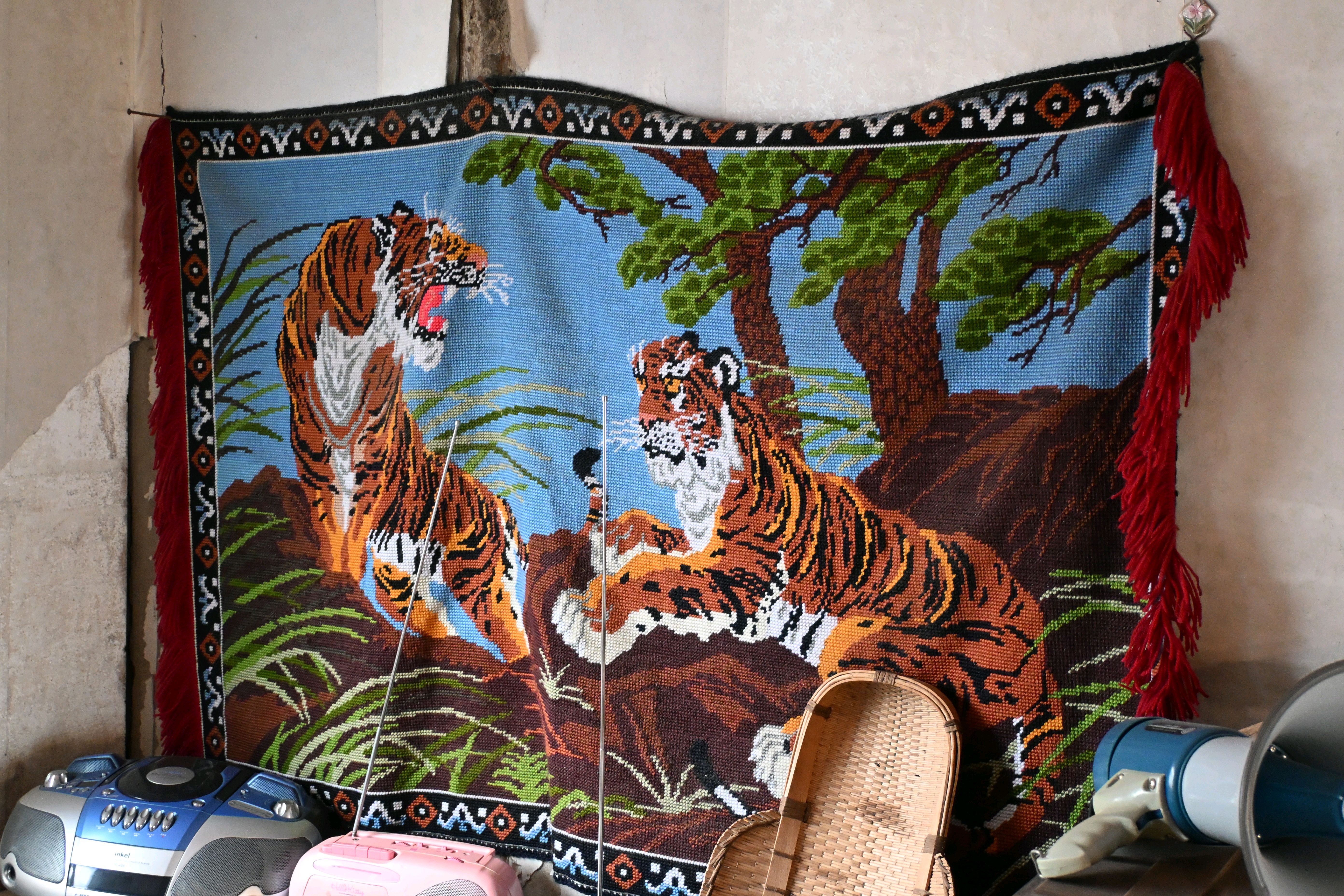 오래된 나무와 벽지가 보이는 낡은 건물 내부