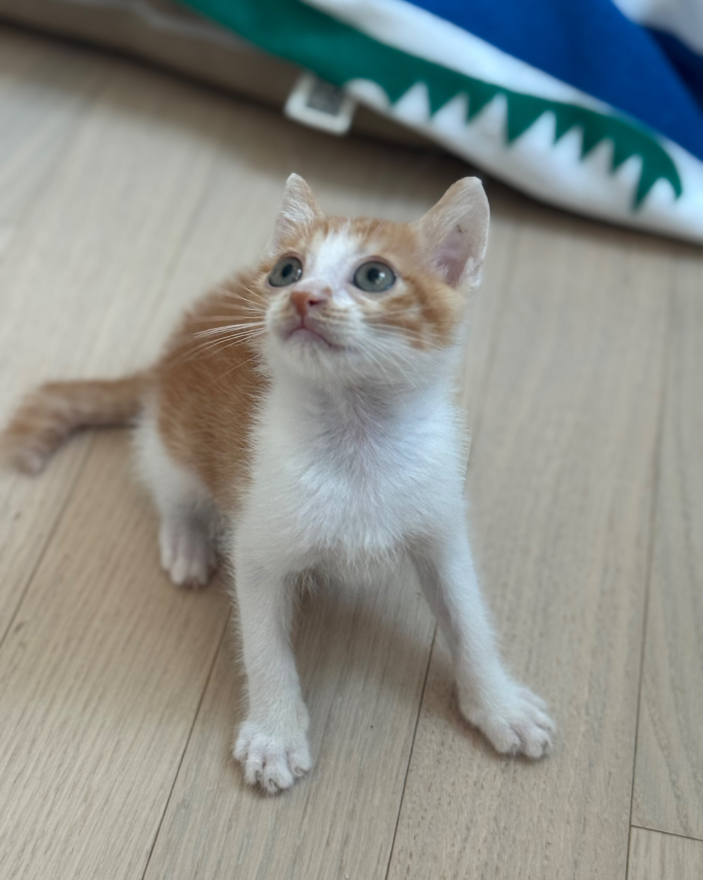 리뷰 사진 2