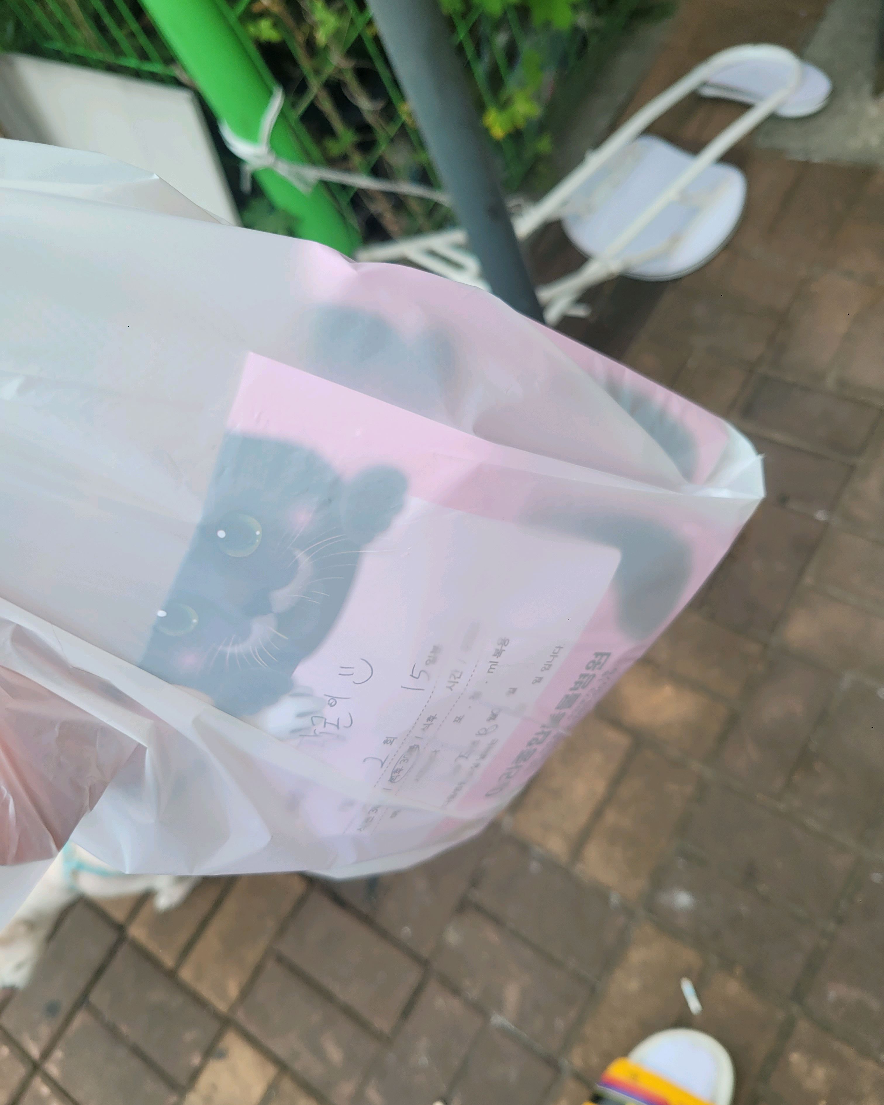 리뷰 사진 1