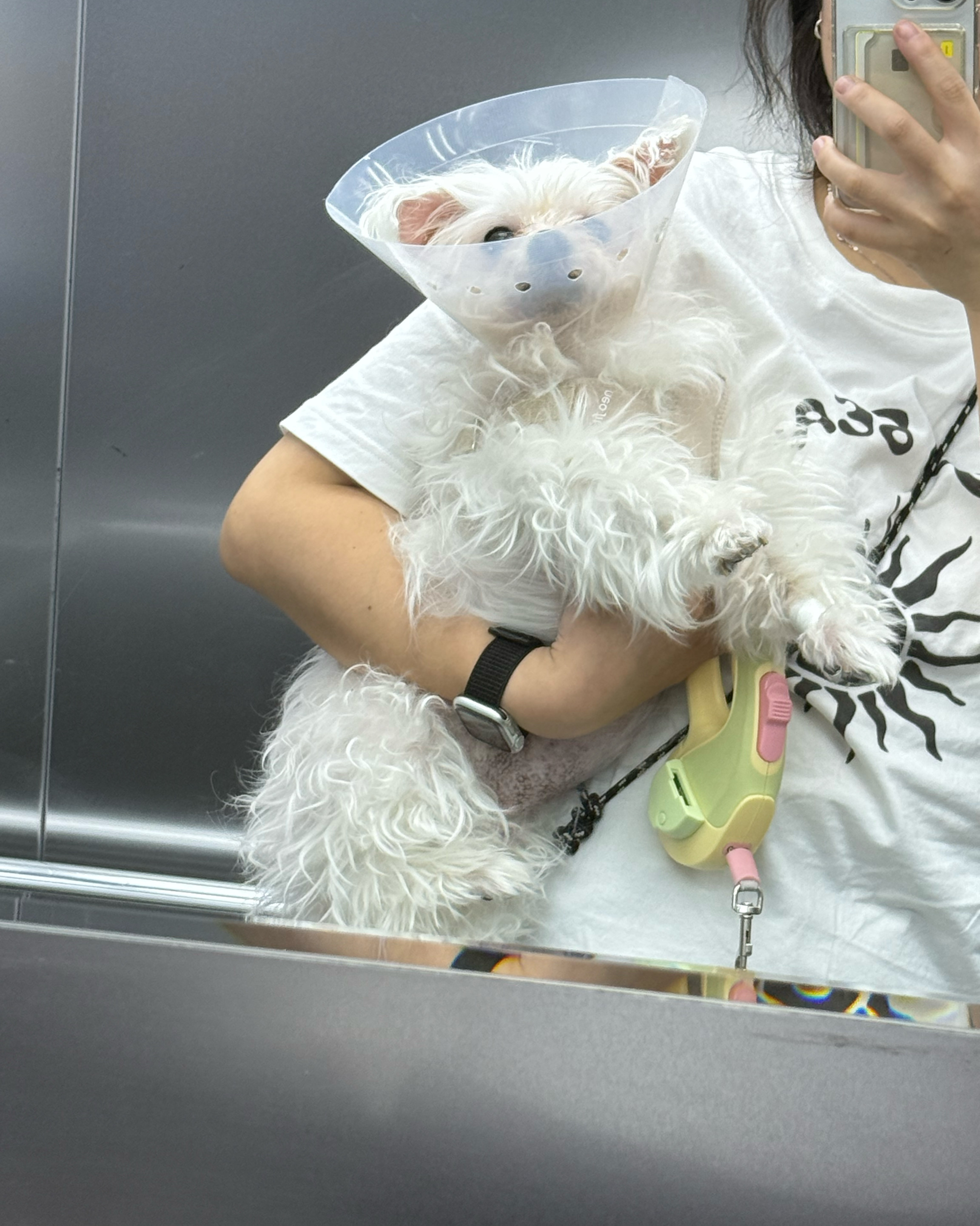 리뷰 사진 1