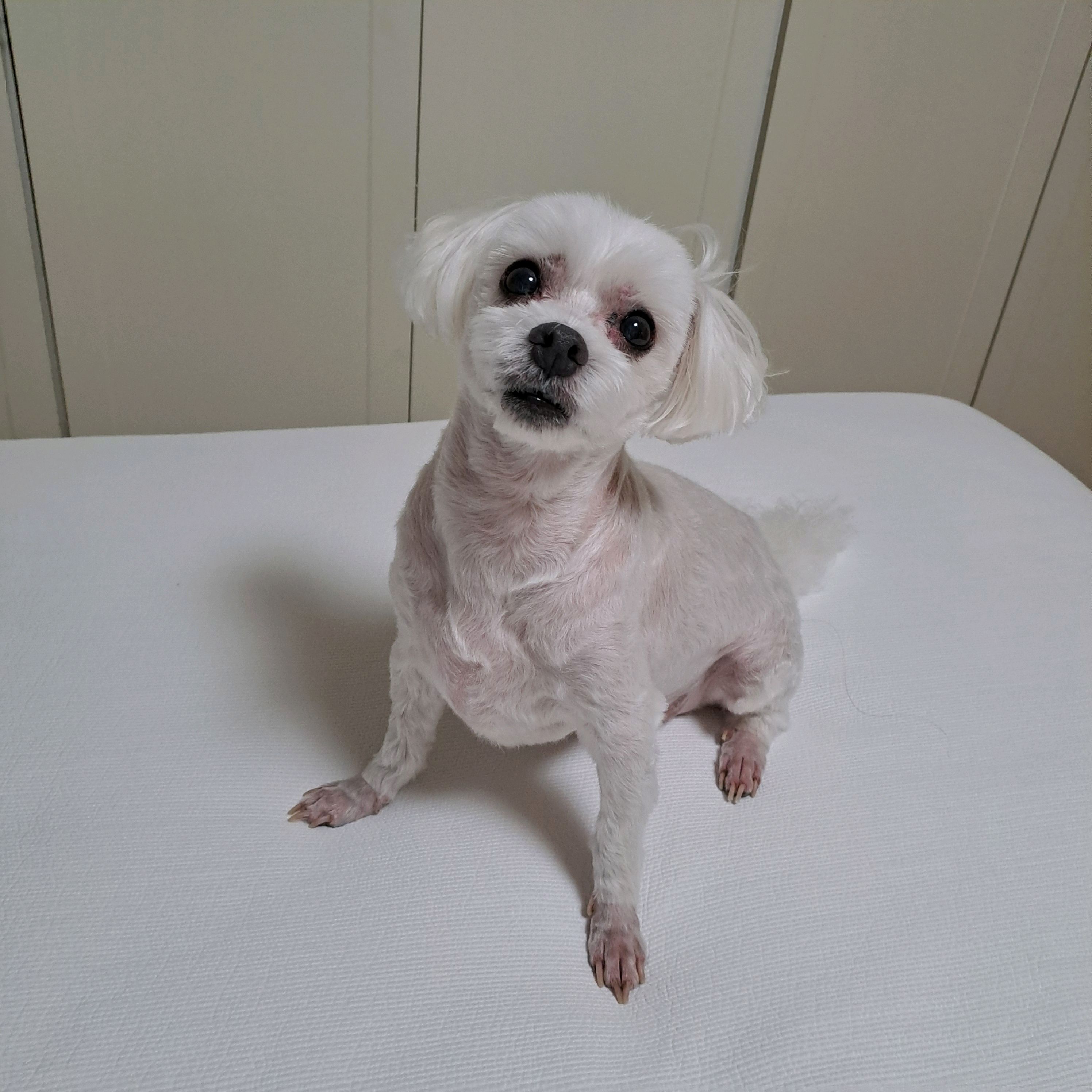 리뷰 사진 1