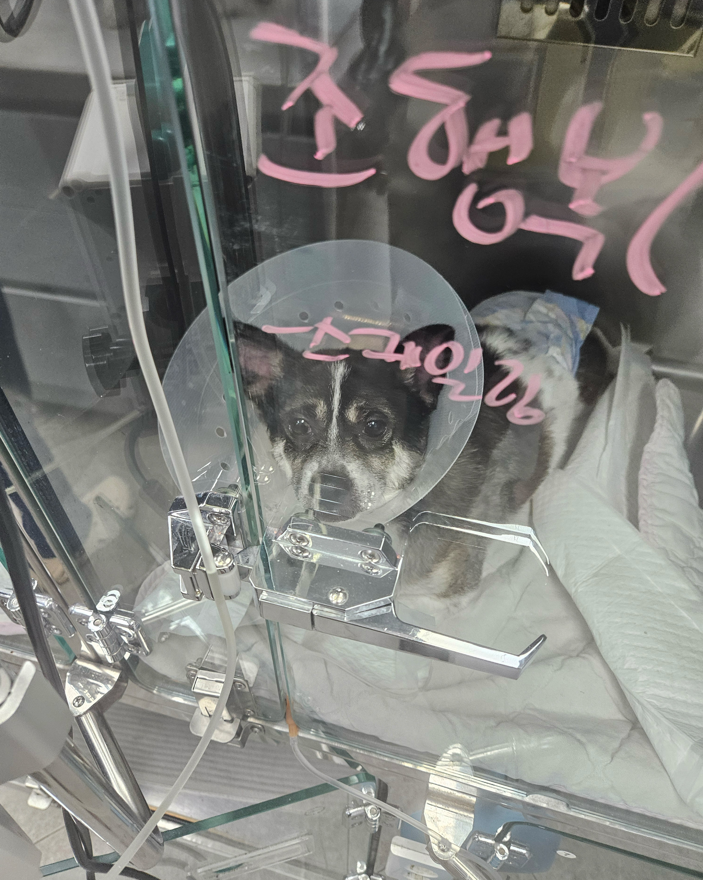리뷰 사진 1
