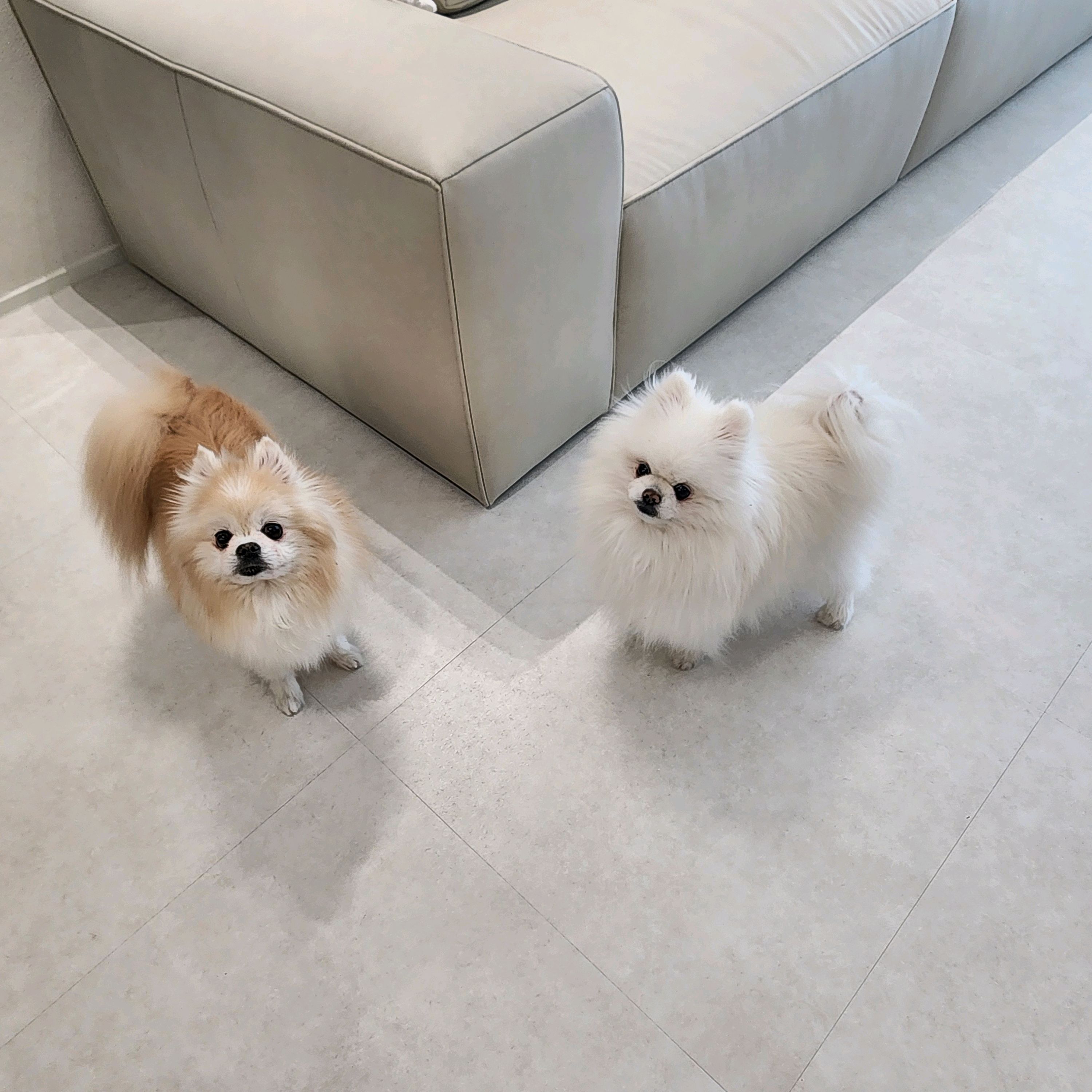 리뷰 사진 1