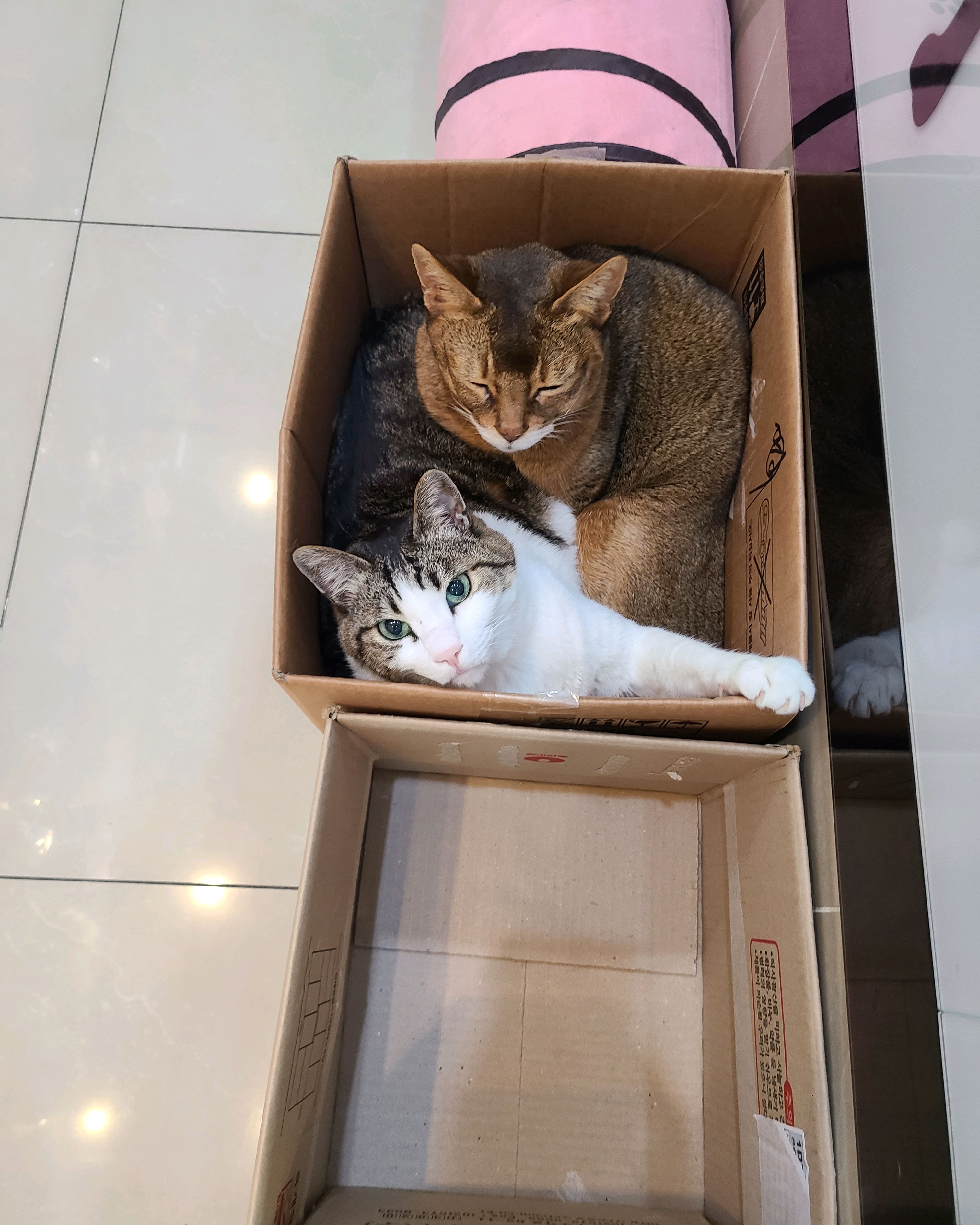 리뷰 사진 2