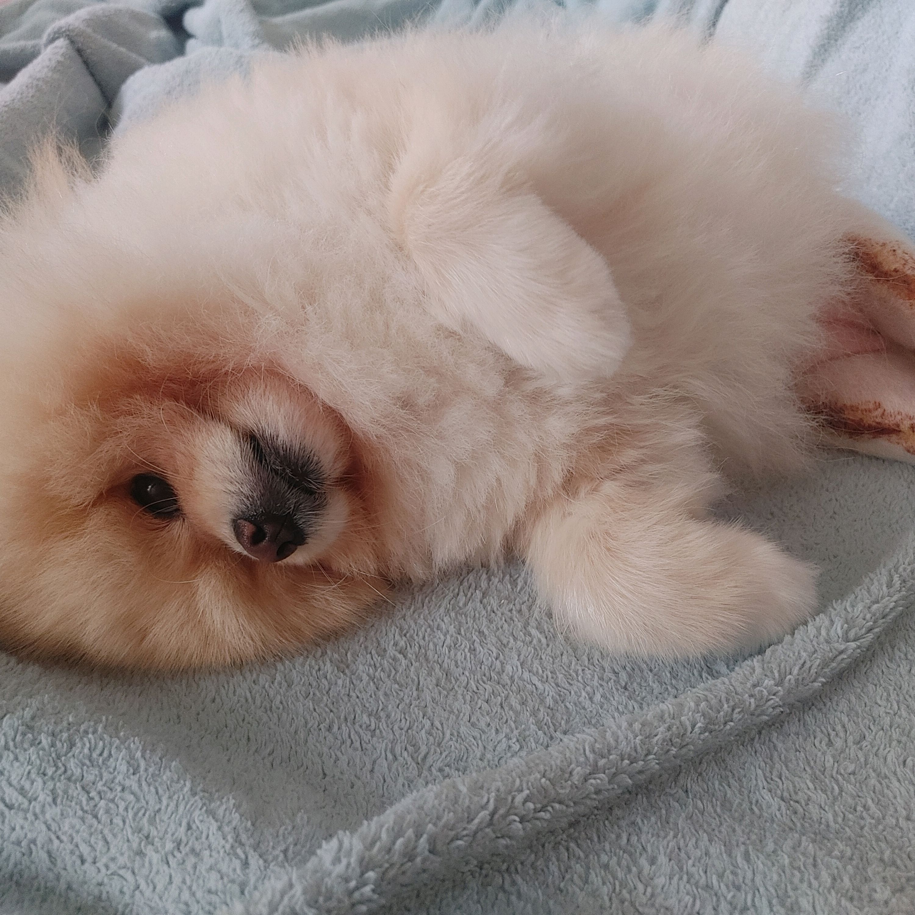 리뷰 사진 1