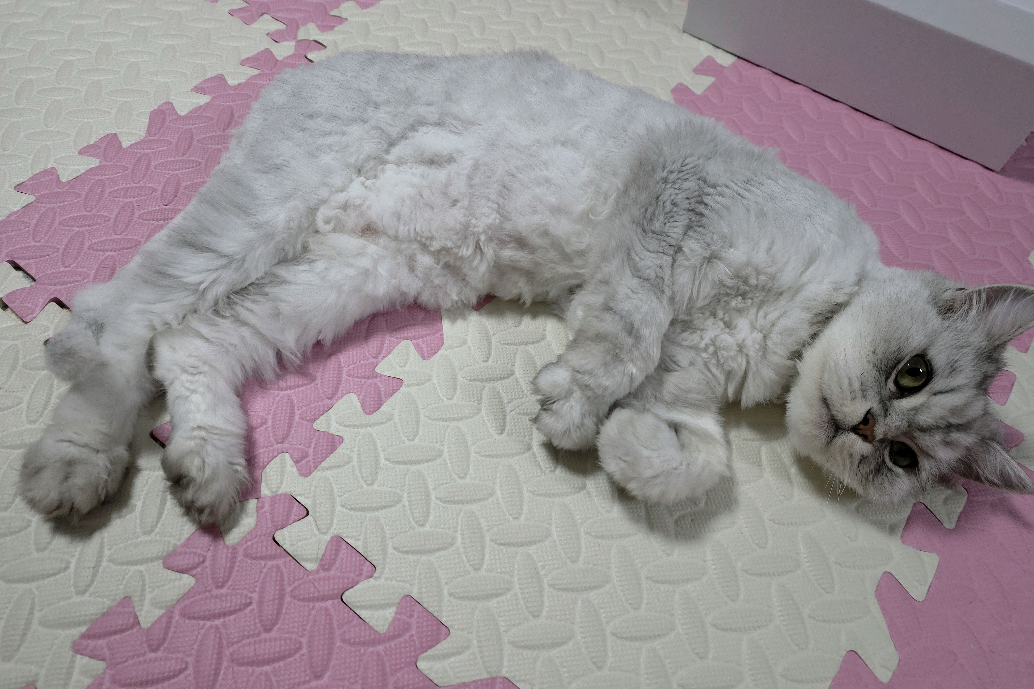 항상 엄마와 포장해서 맛있게먹는집입니다 - 부산 영도 청해수산