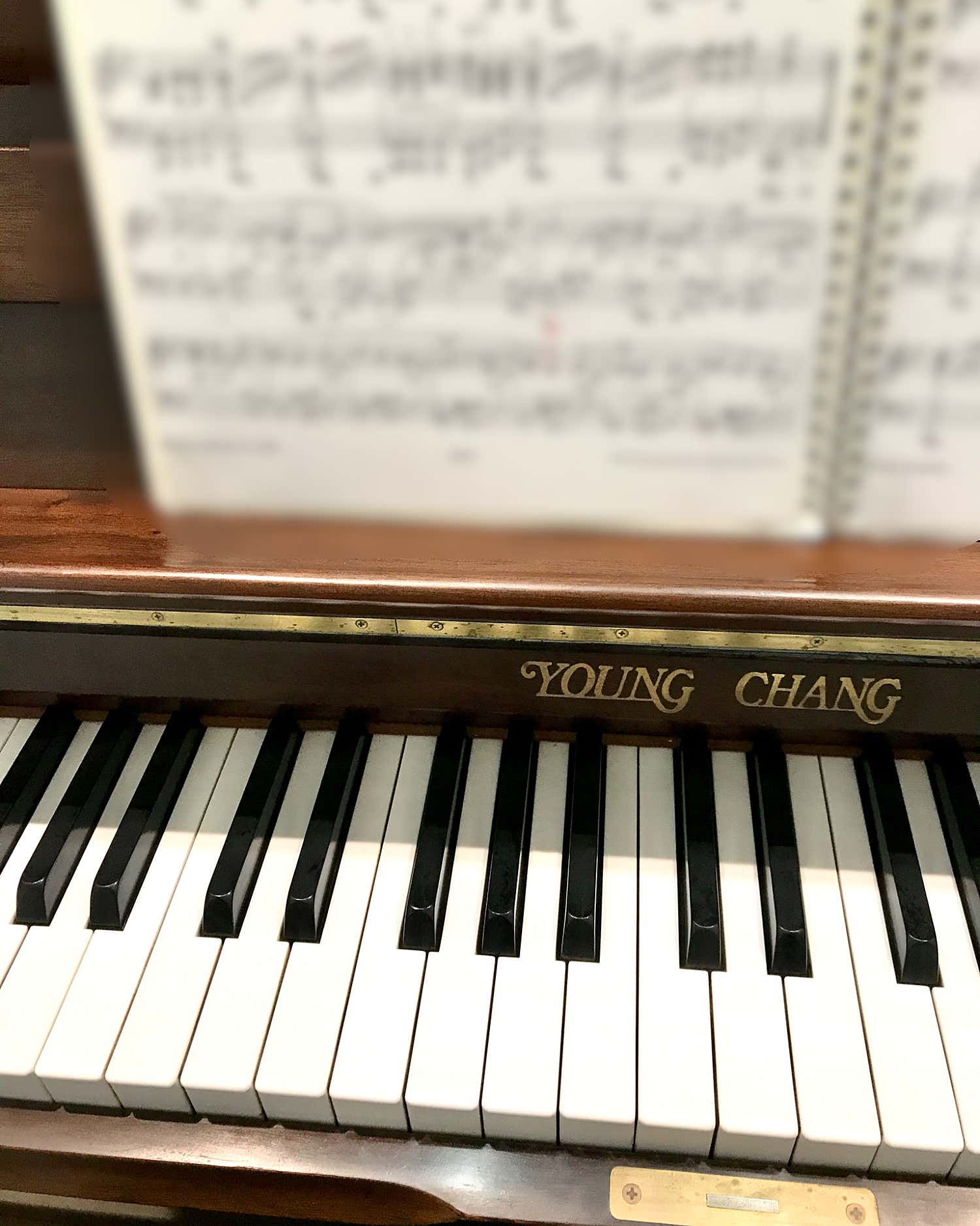 2번째 스튜디오 사진