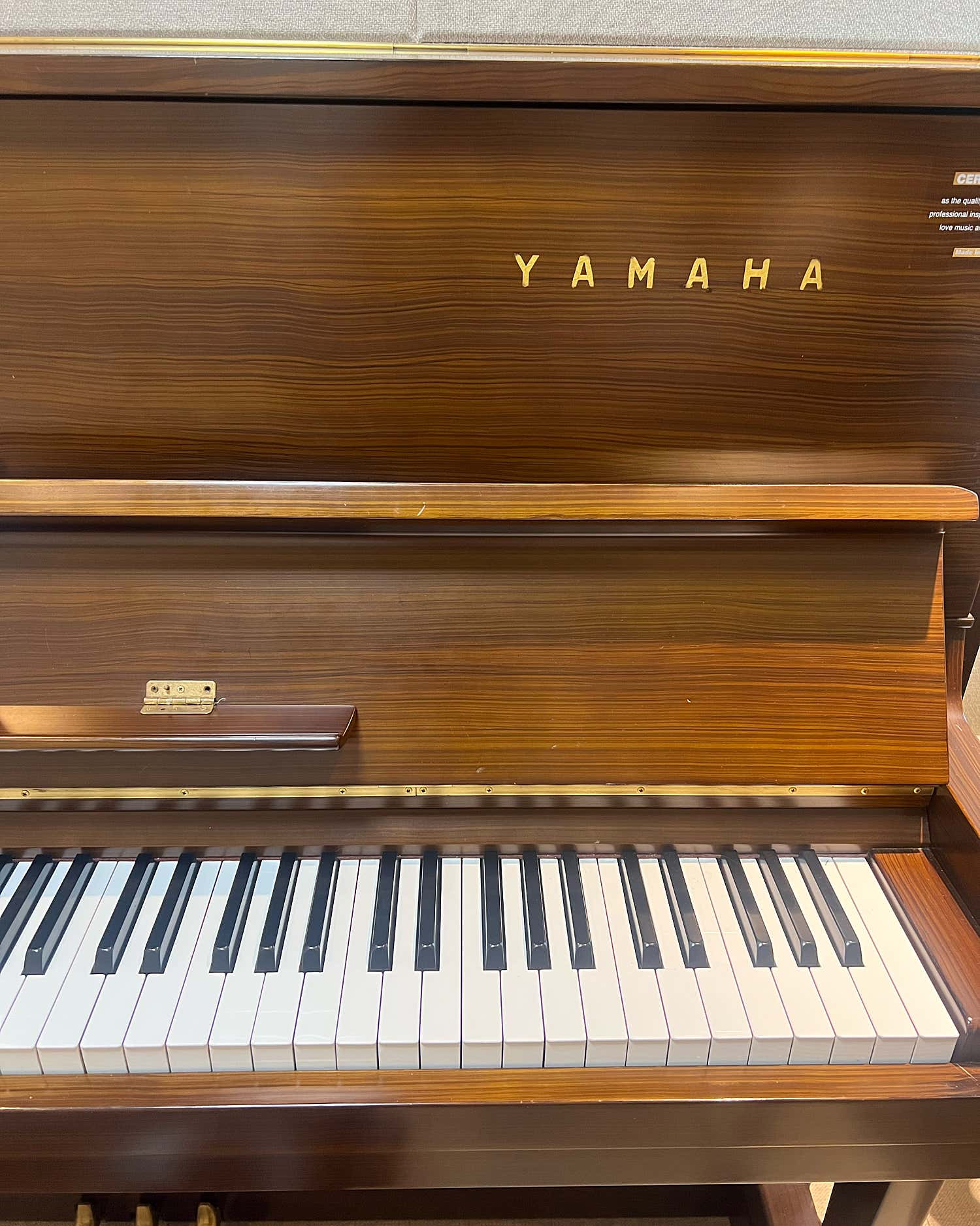 2번째 스튜디오 사진