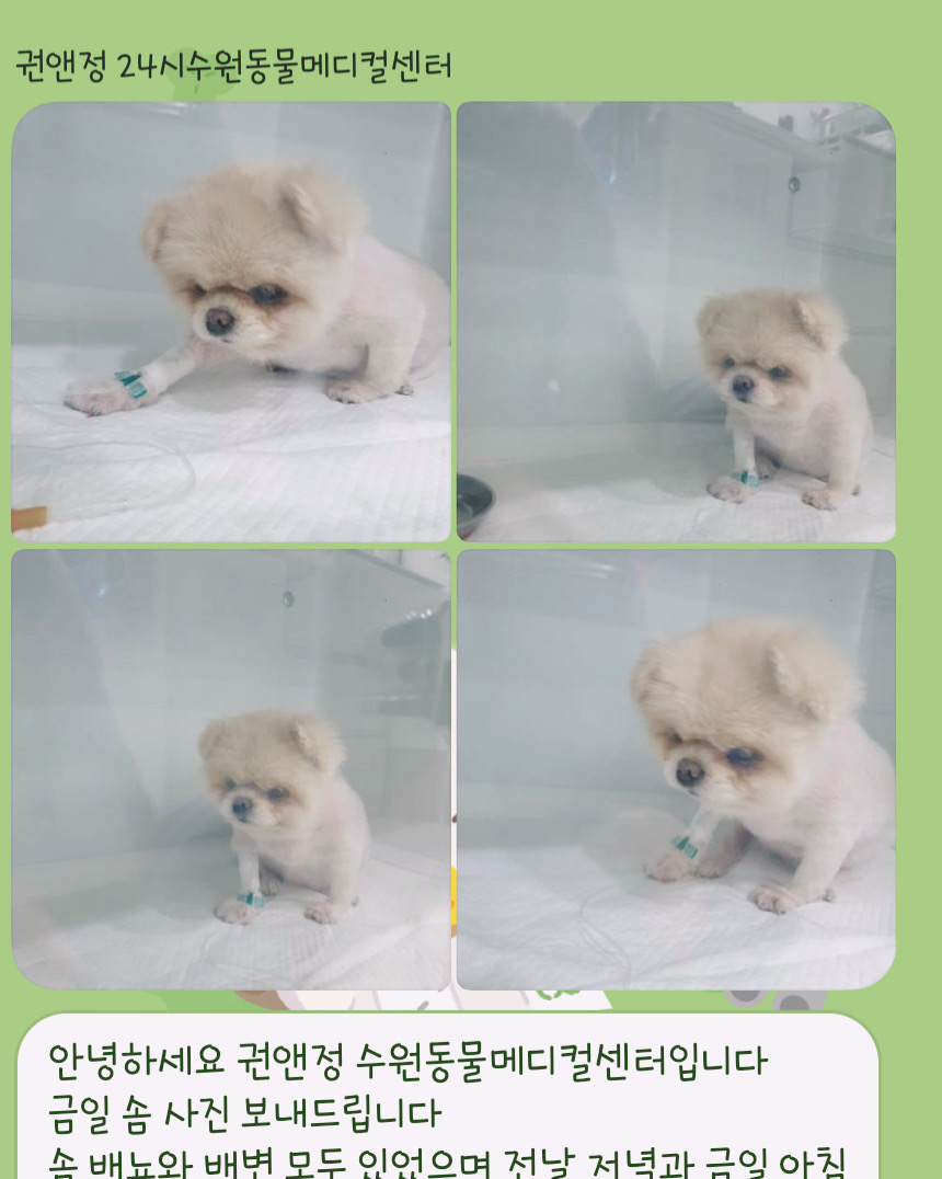 리뷰 사진 5