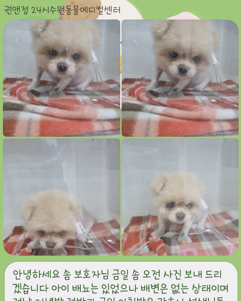 권앤정 24시수원동물메디컬센터 사진 5