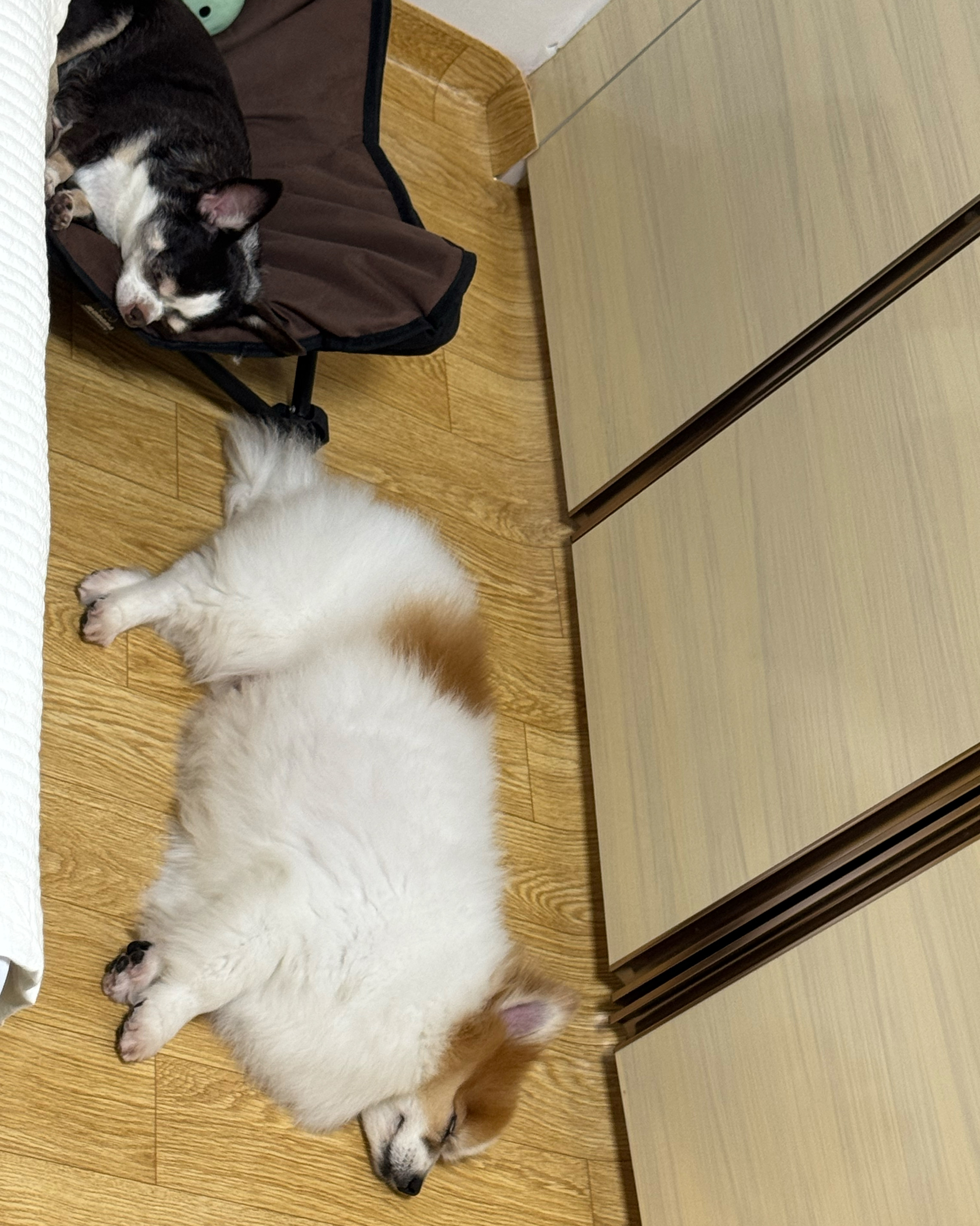 리뷰 사진 1