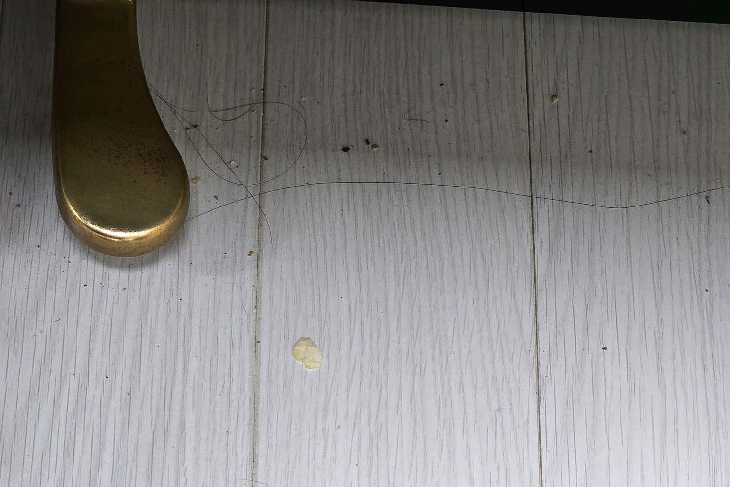 2번째 스튜디오 사진