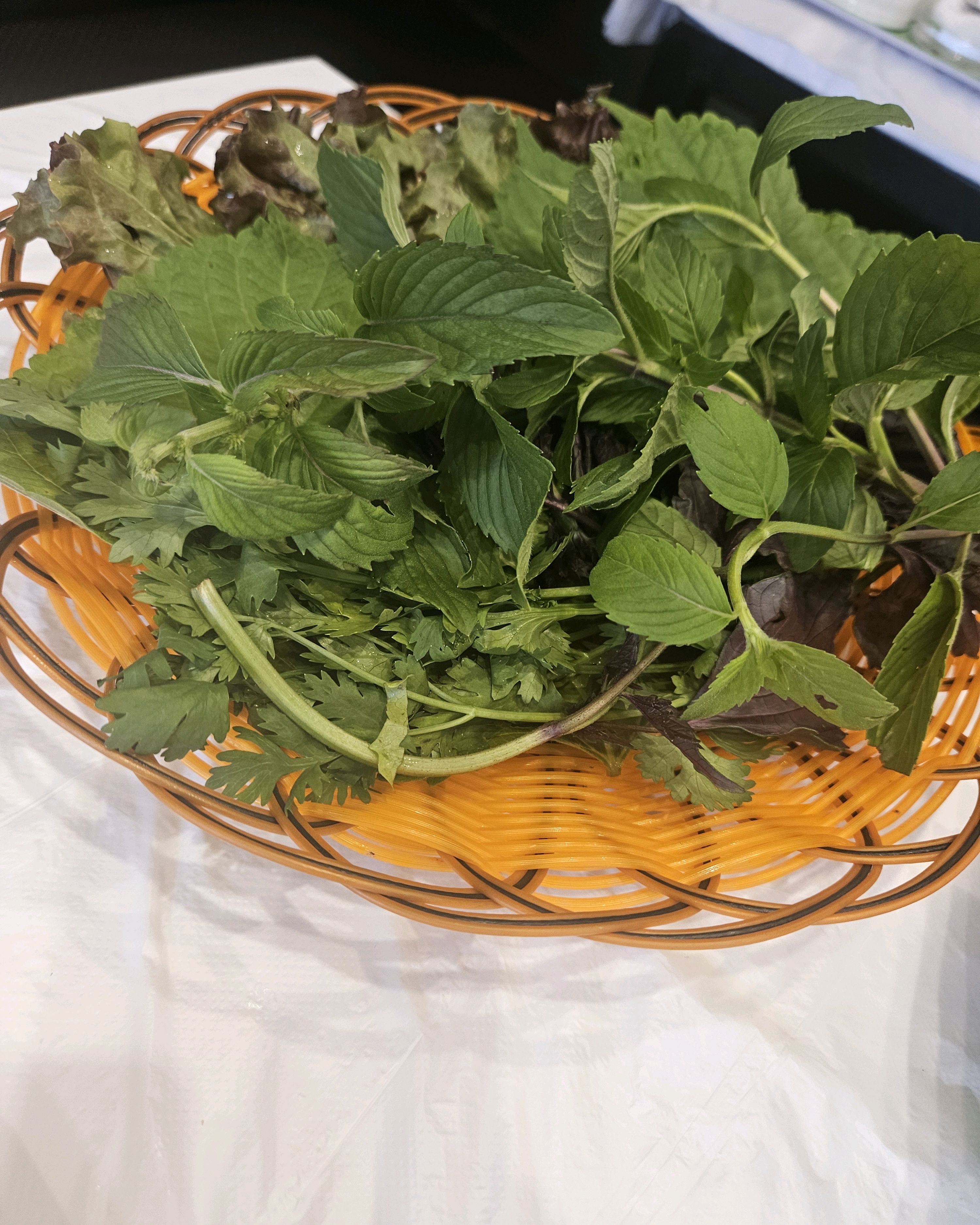 다양한 신선한 허브와 채소들