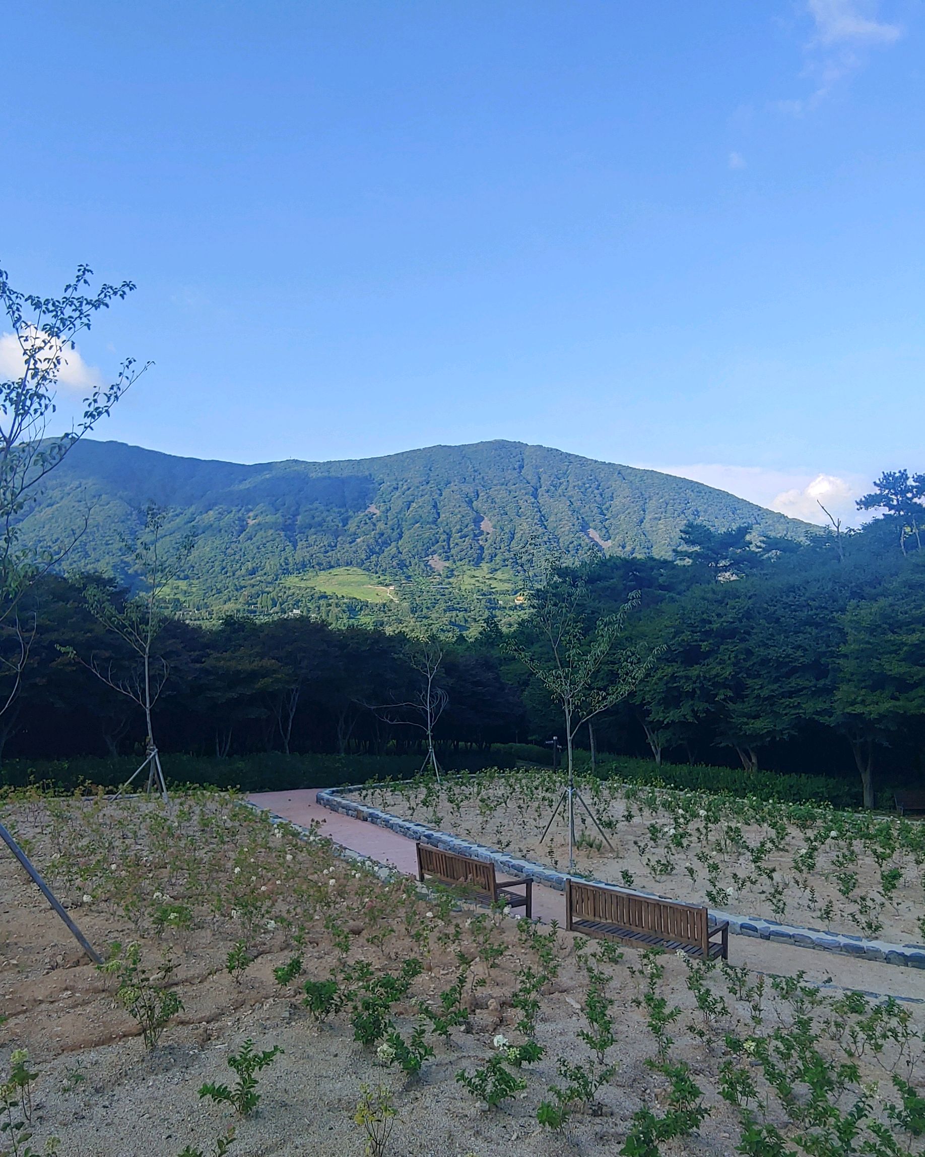 수만리빵집 주변 풍경 2