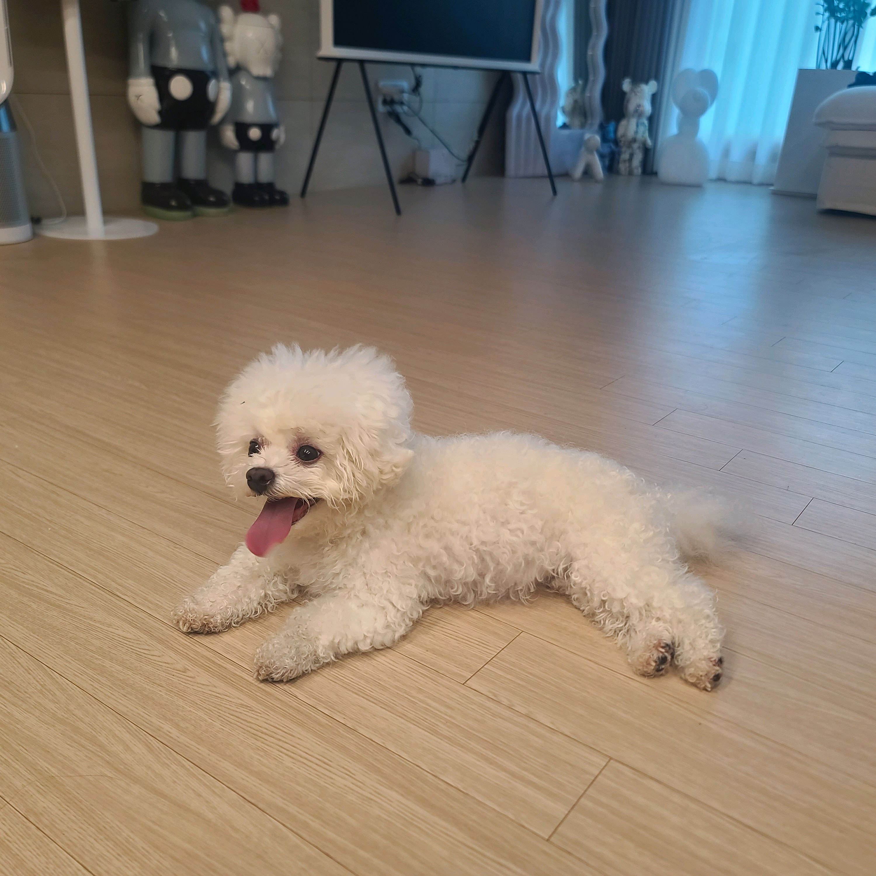 리뷰 사진 1