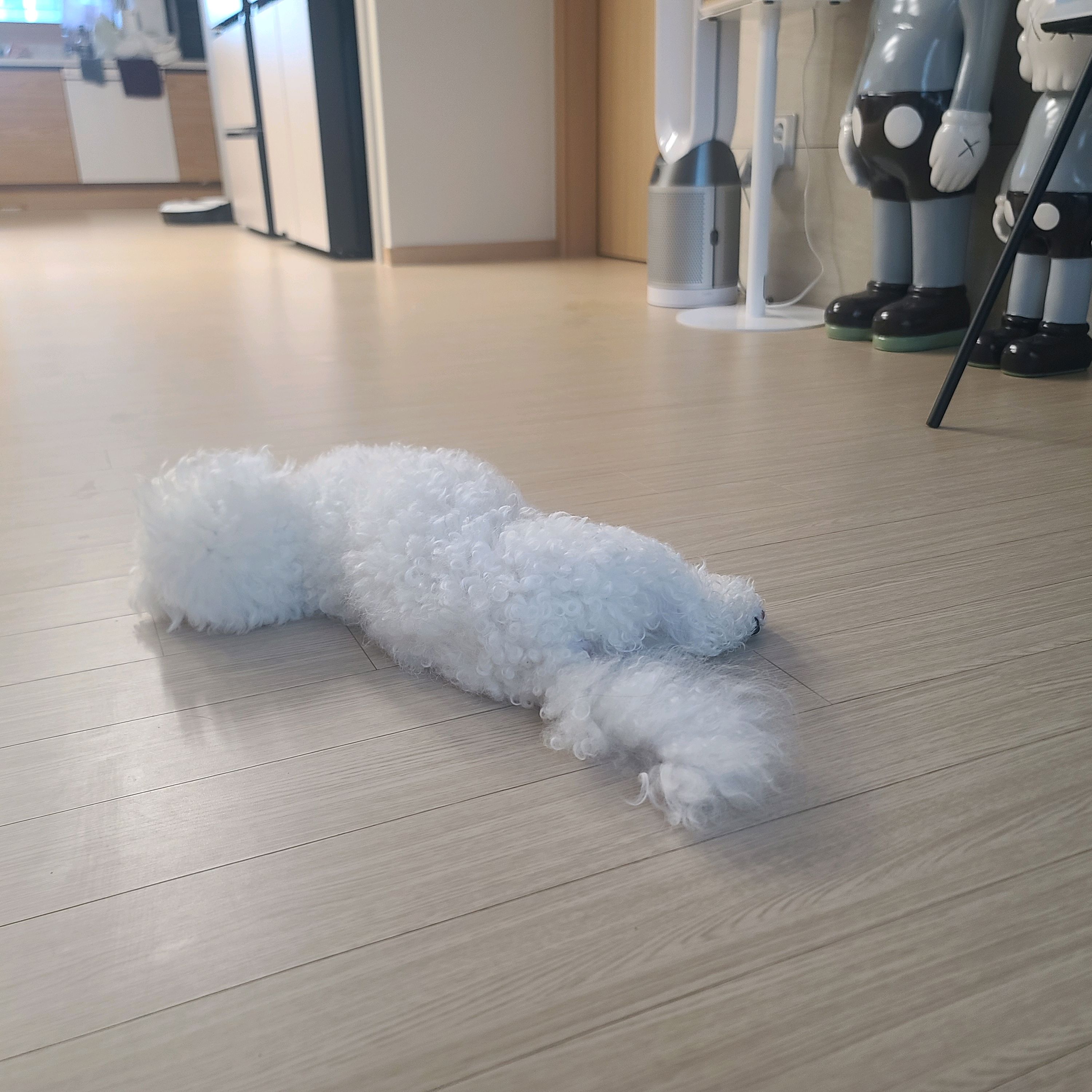 리뷰 사진 2