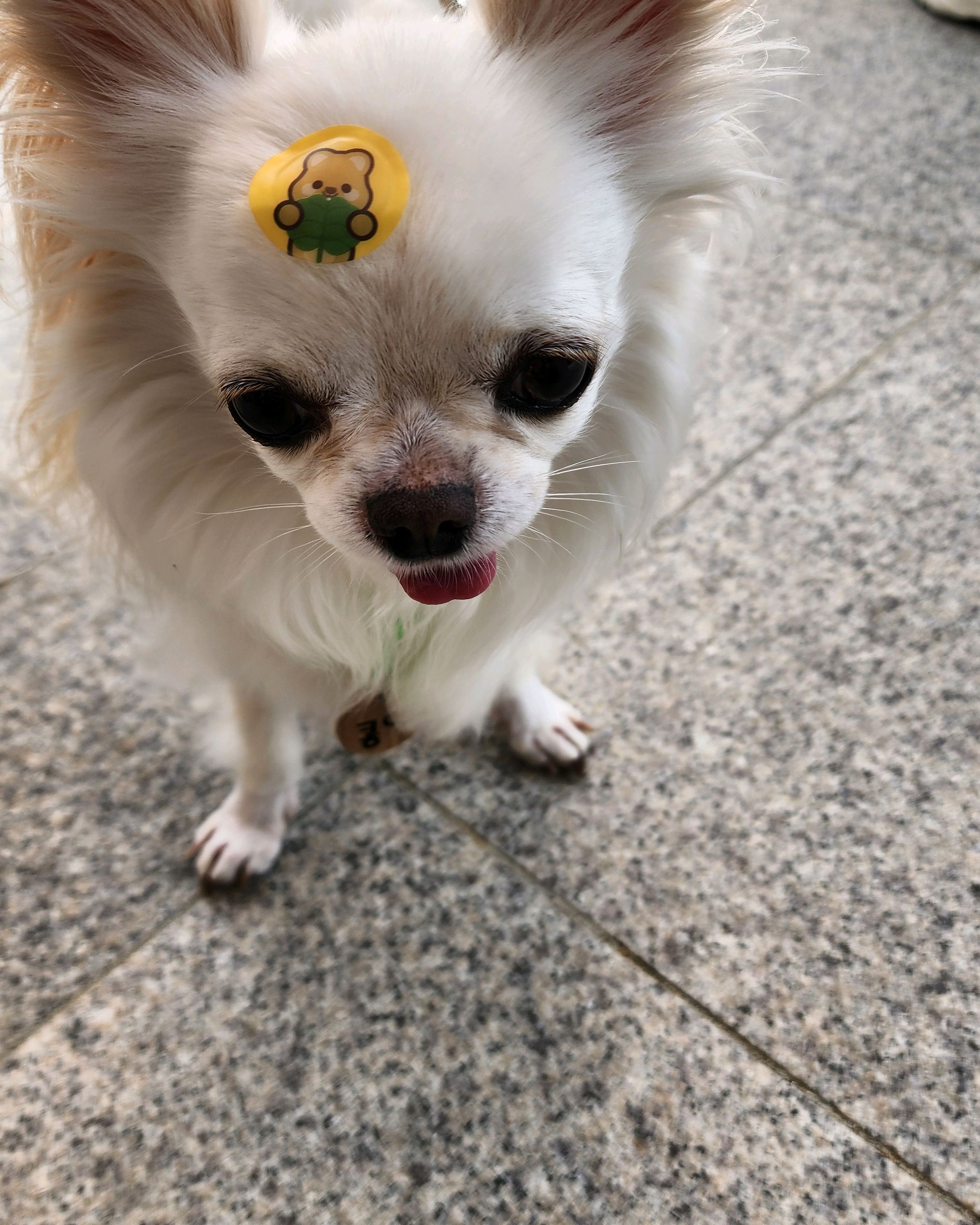 리뷰 사진 2