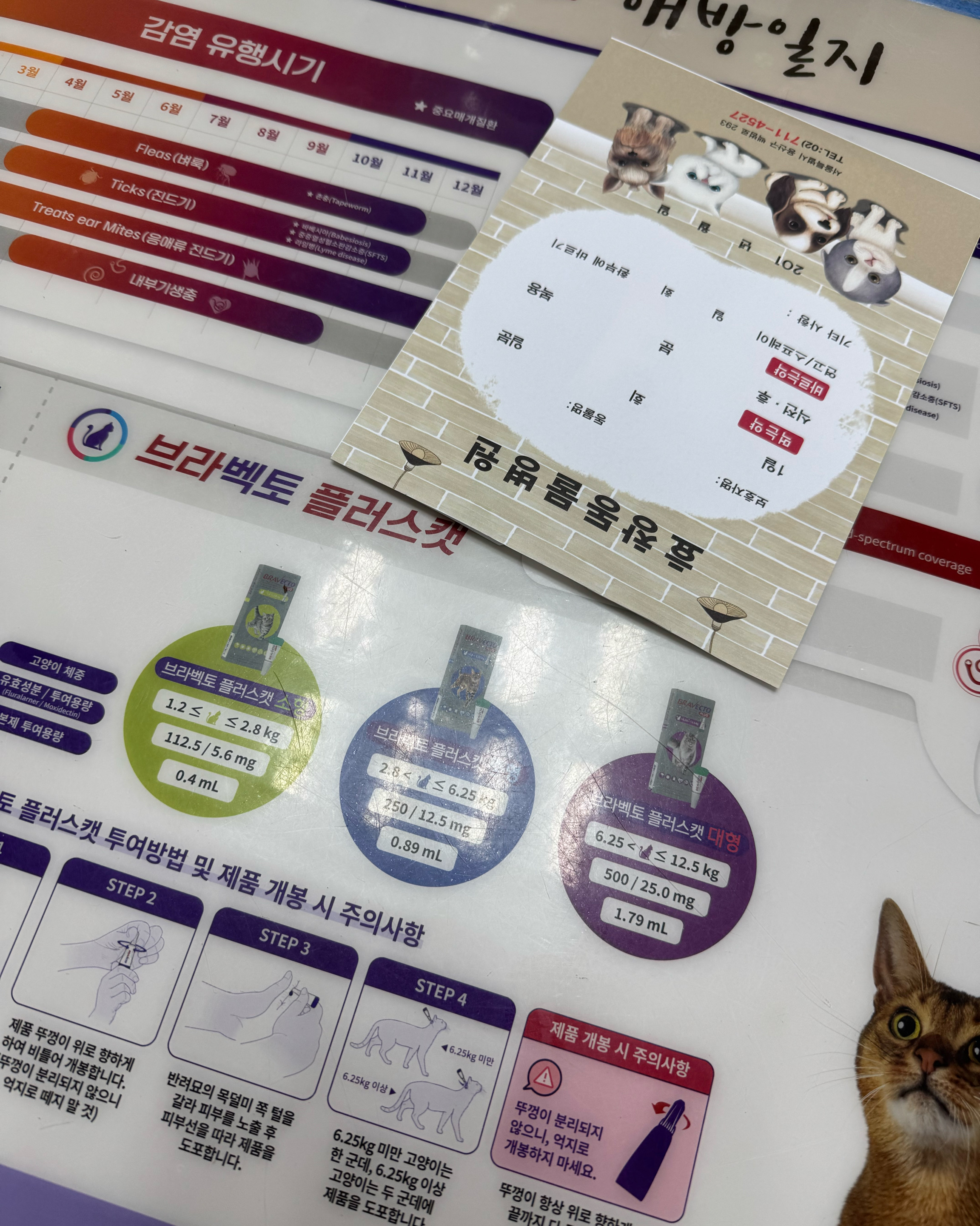 리뷰 사진 1