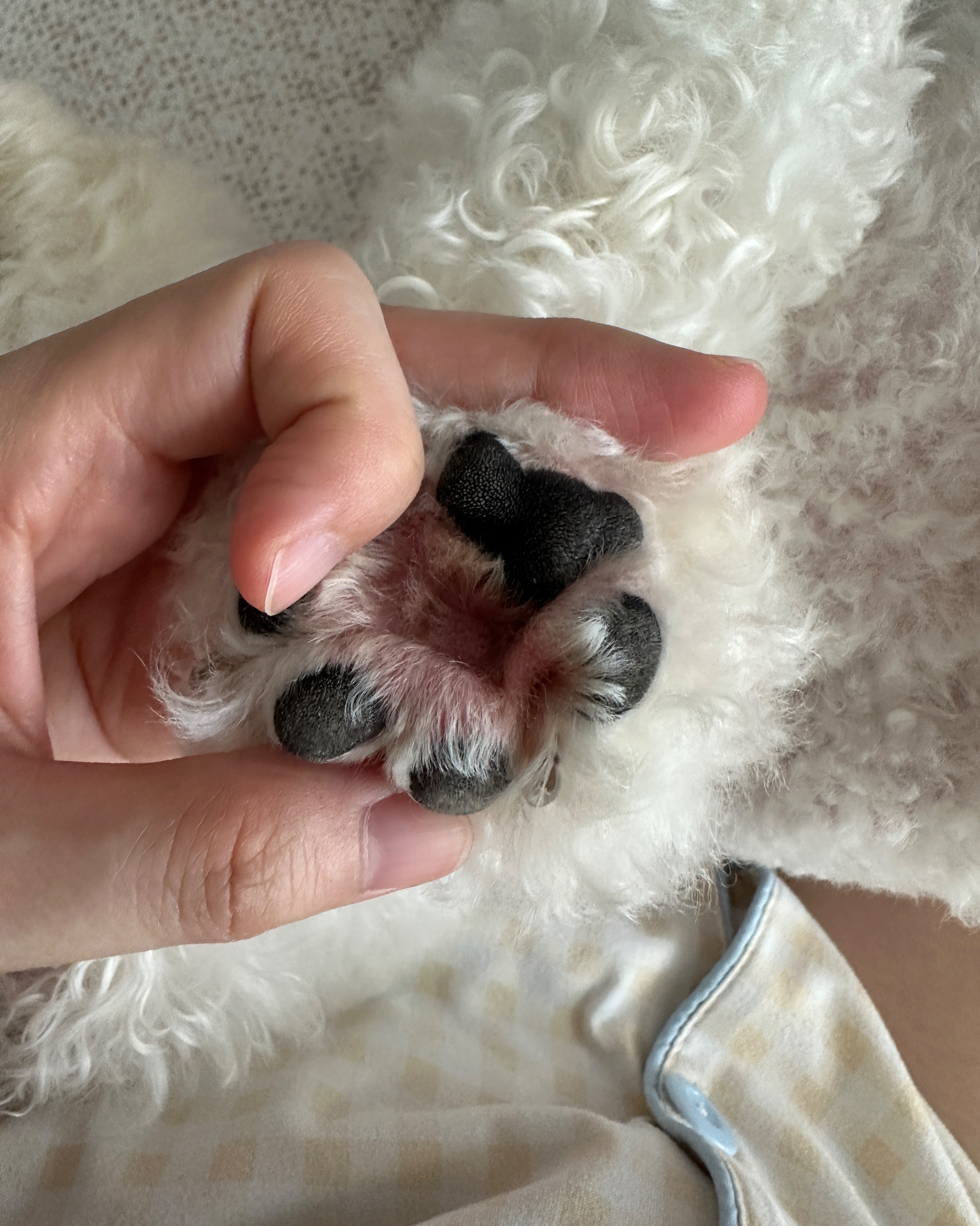 리뷰 사진 2