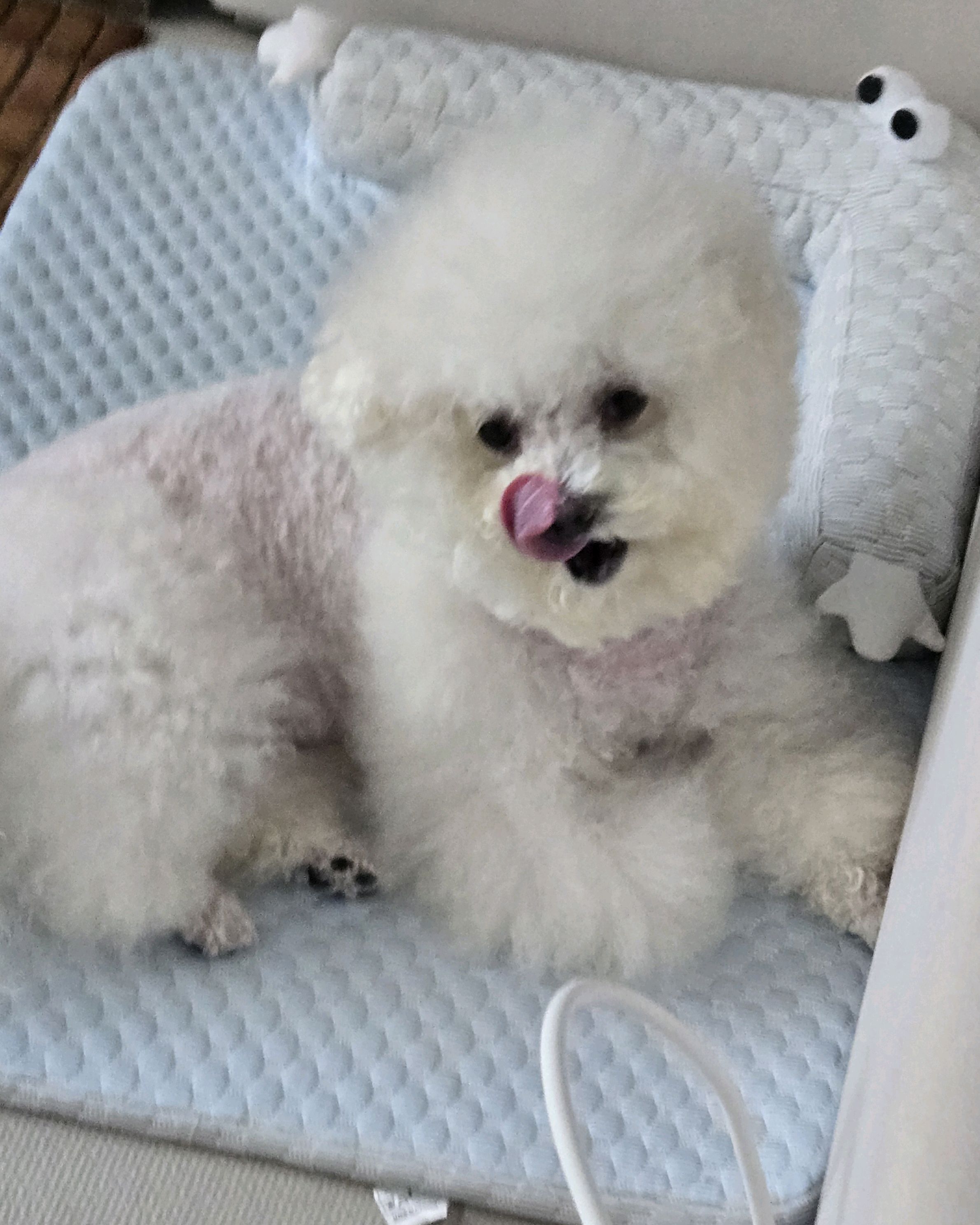 리뷰 사진 3