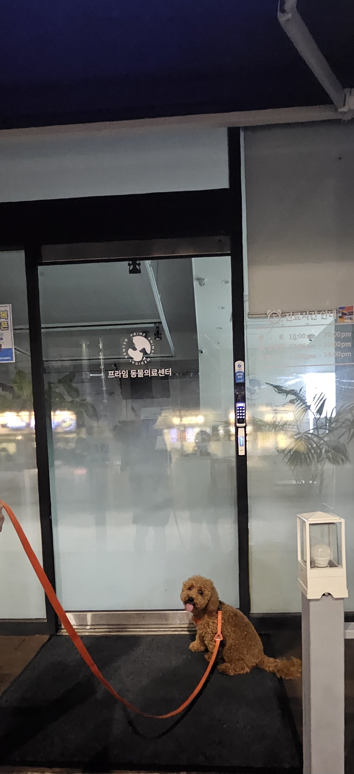 프라임 동물의료센터 사진 2