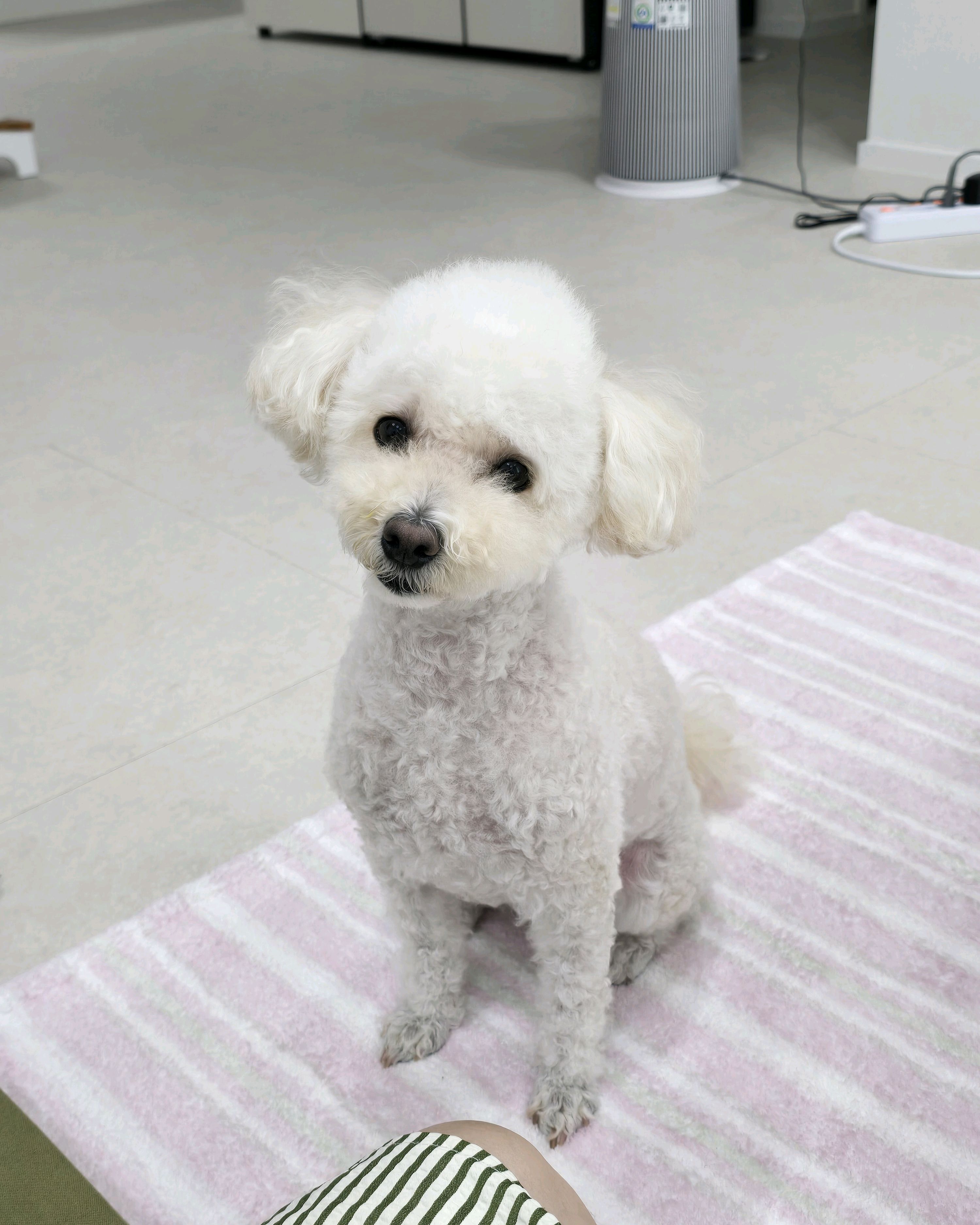 리뷰 사진 1
