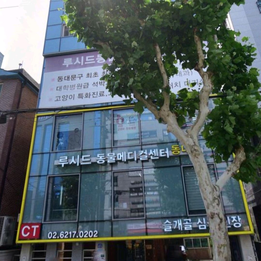 리뷰 사진 1