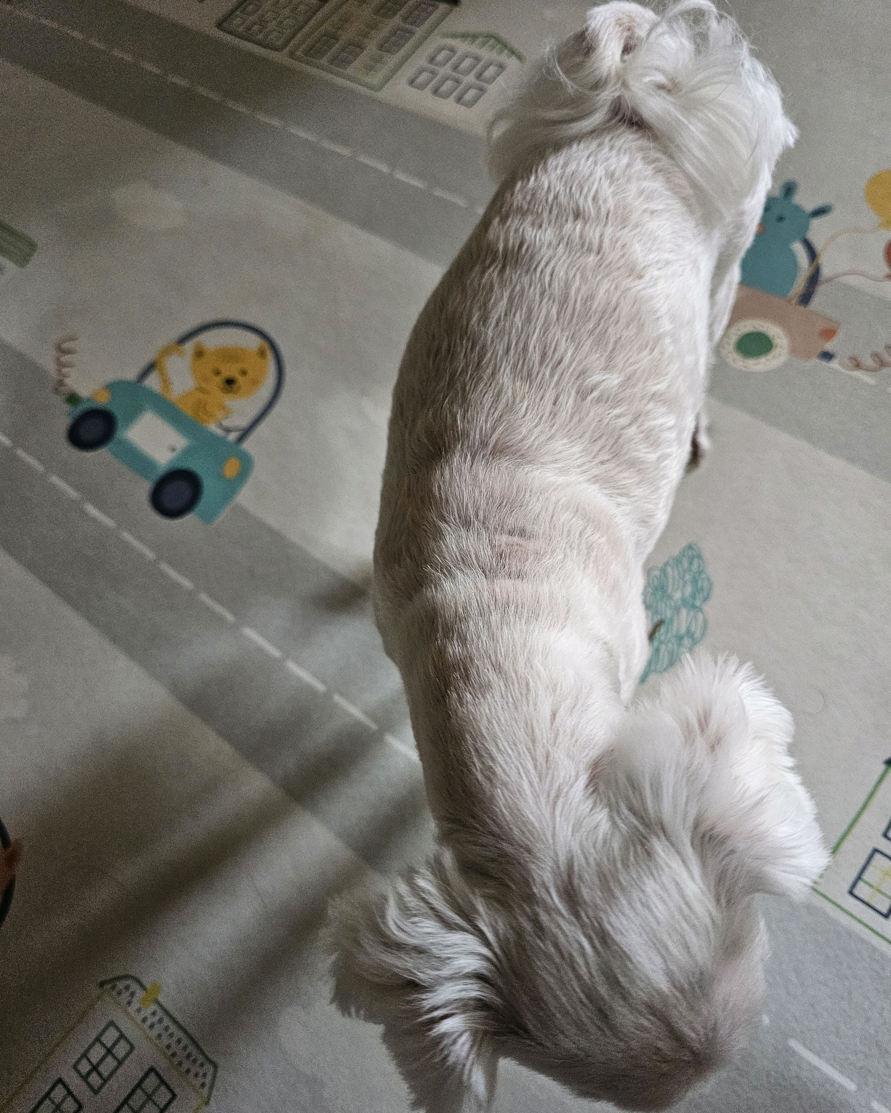 리뷰 사진 3