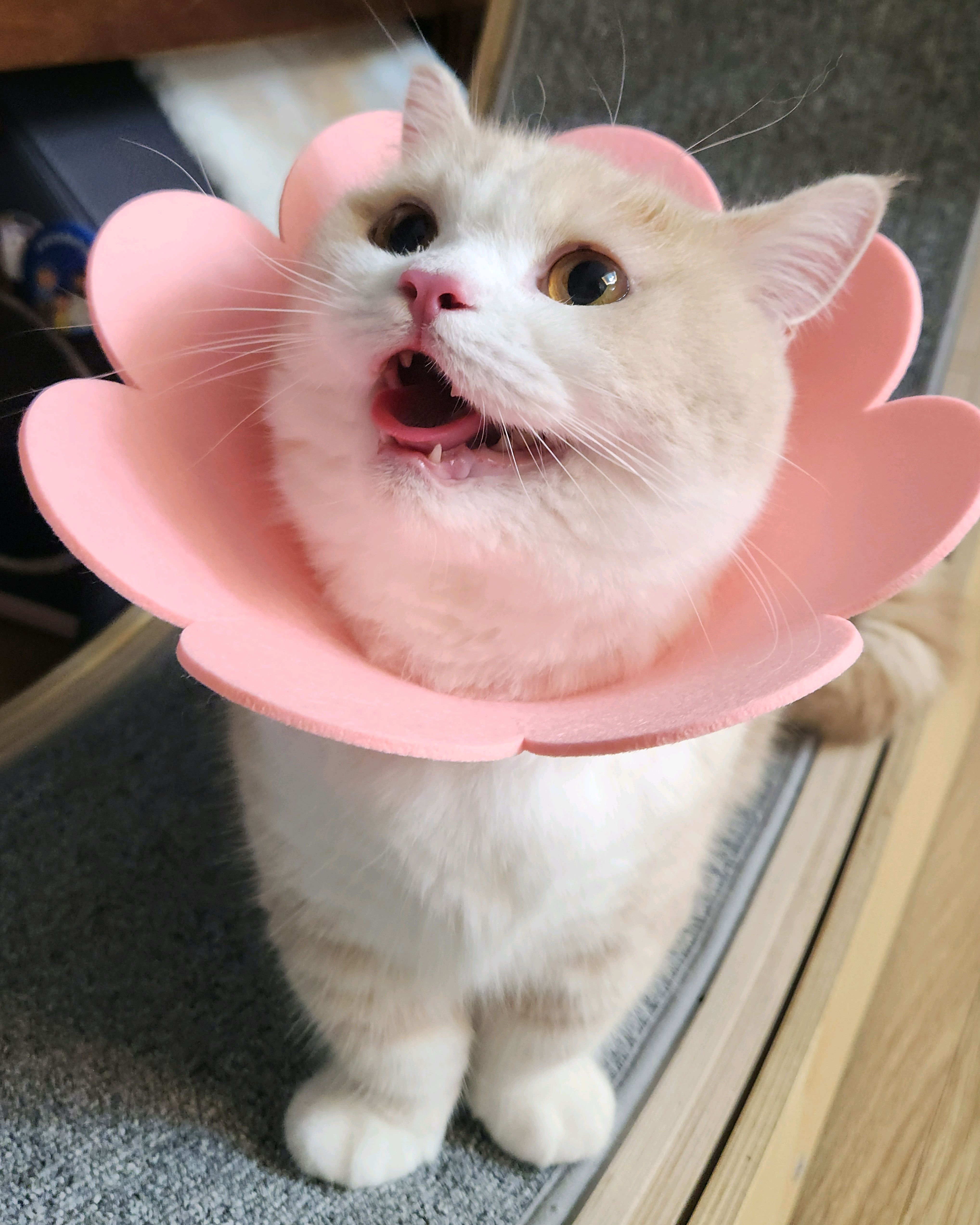 리뷰 사진 3