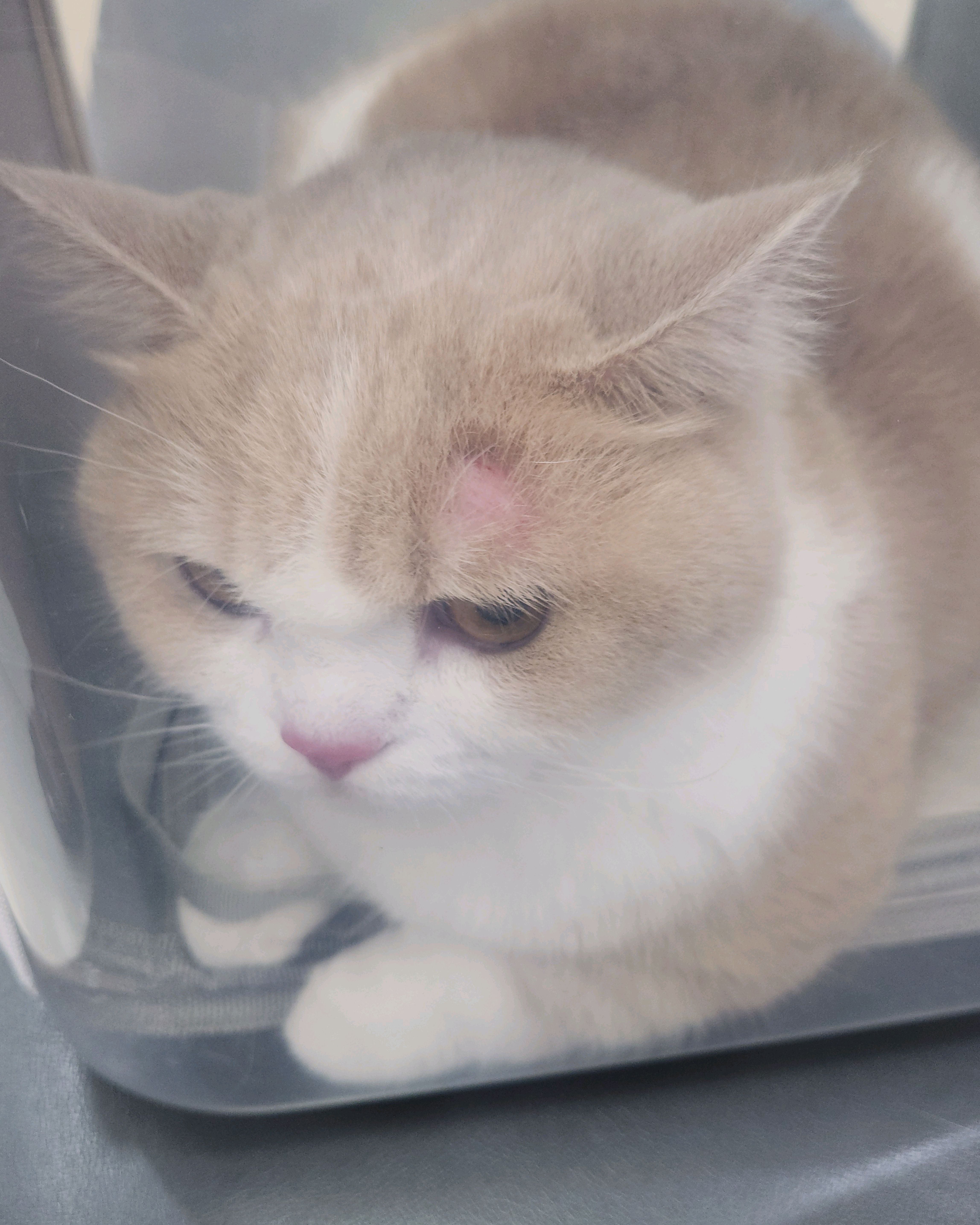 리뷰 사진 1