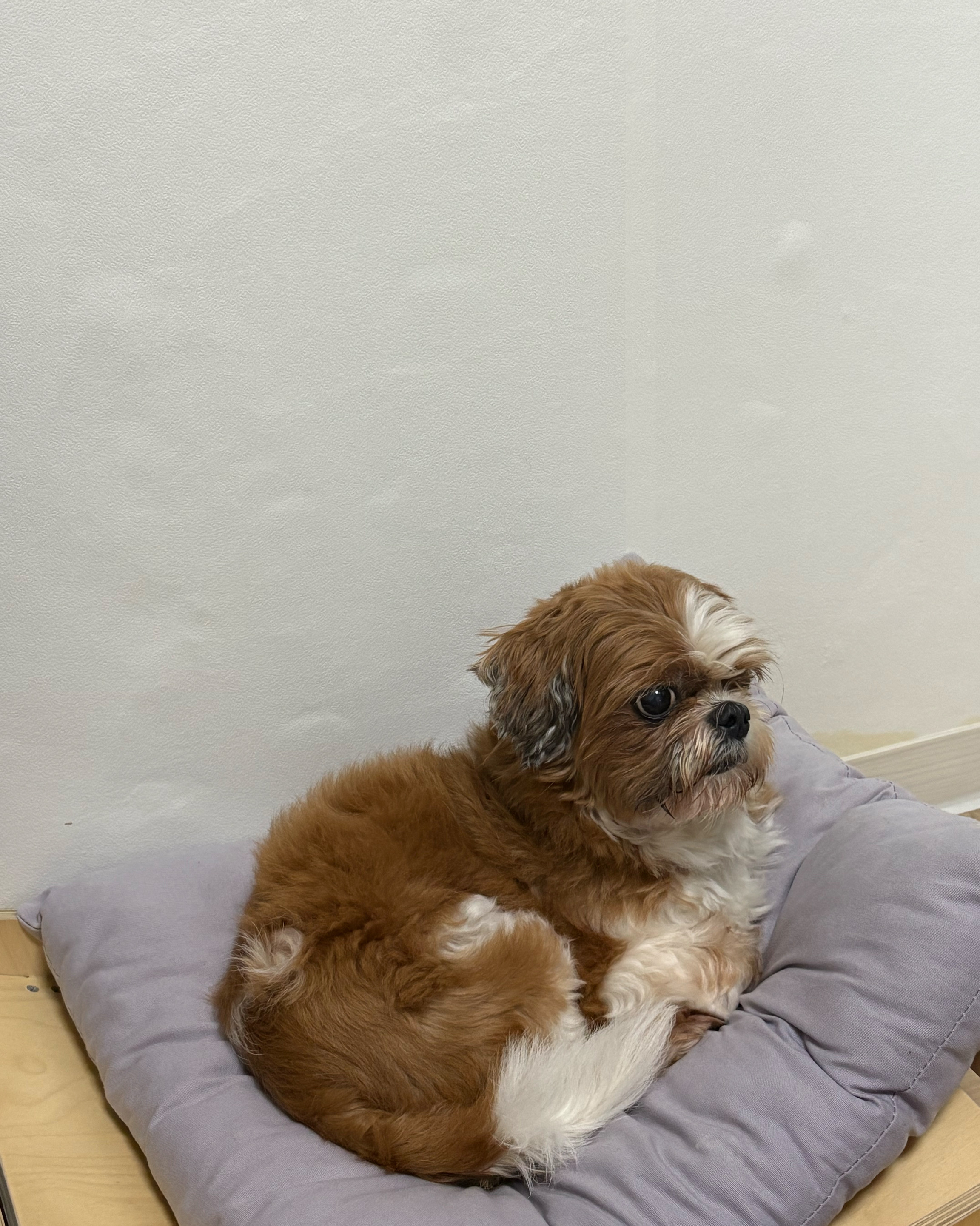 리뷰 사진 1