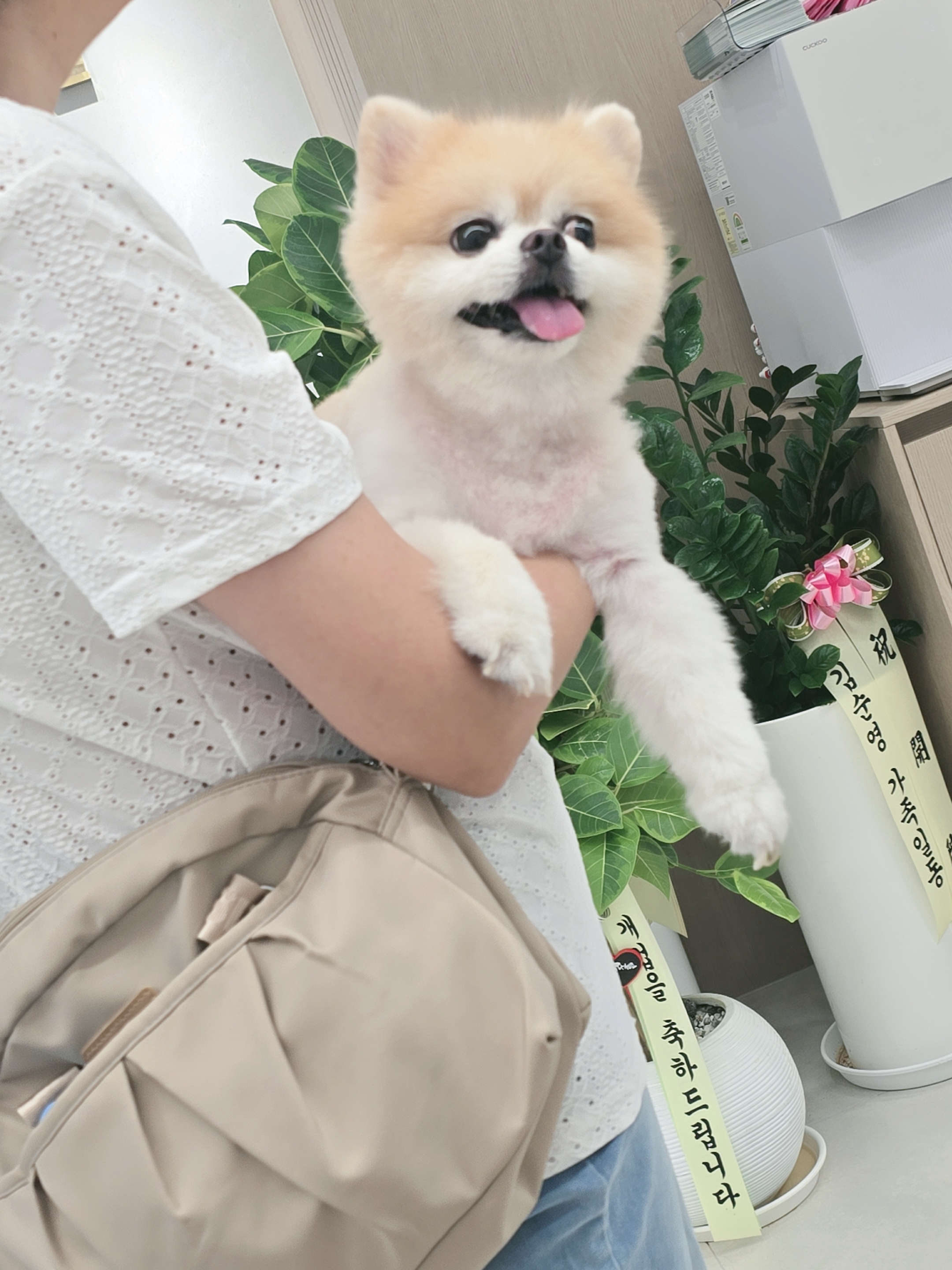 리뷰 사진 1