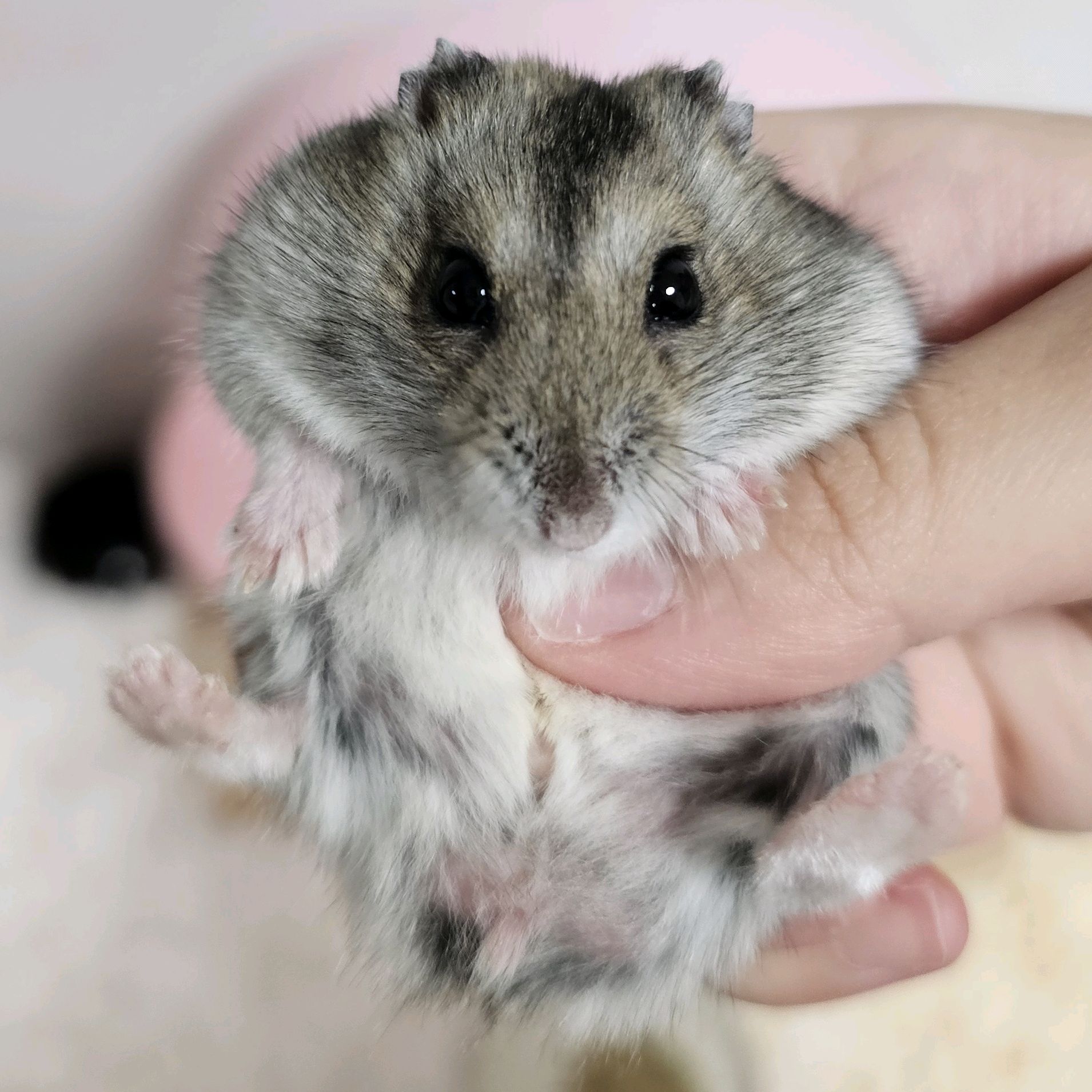 리뷰 사진 1