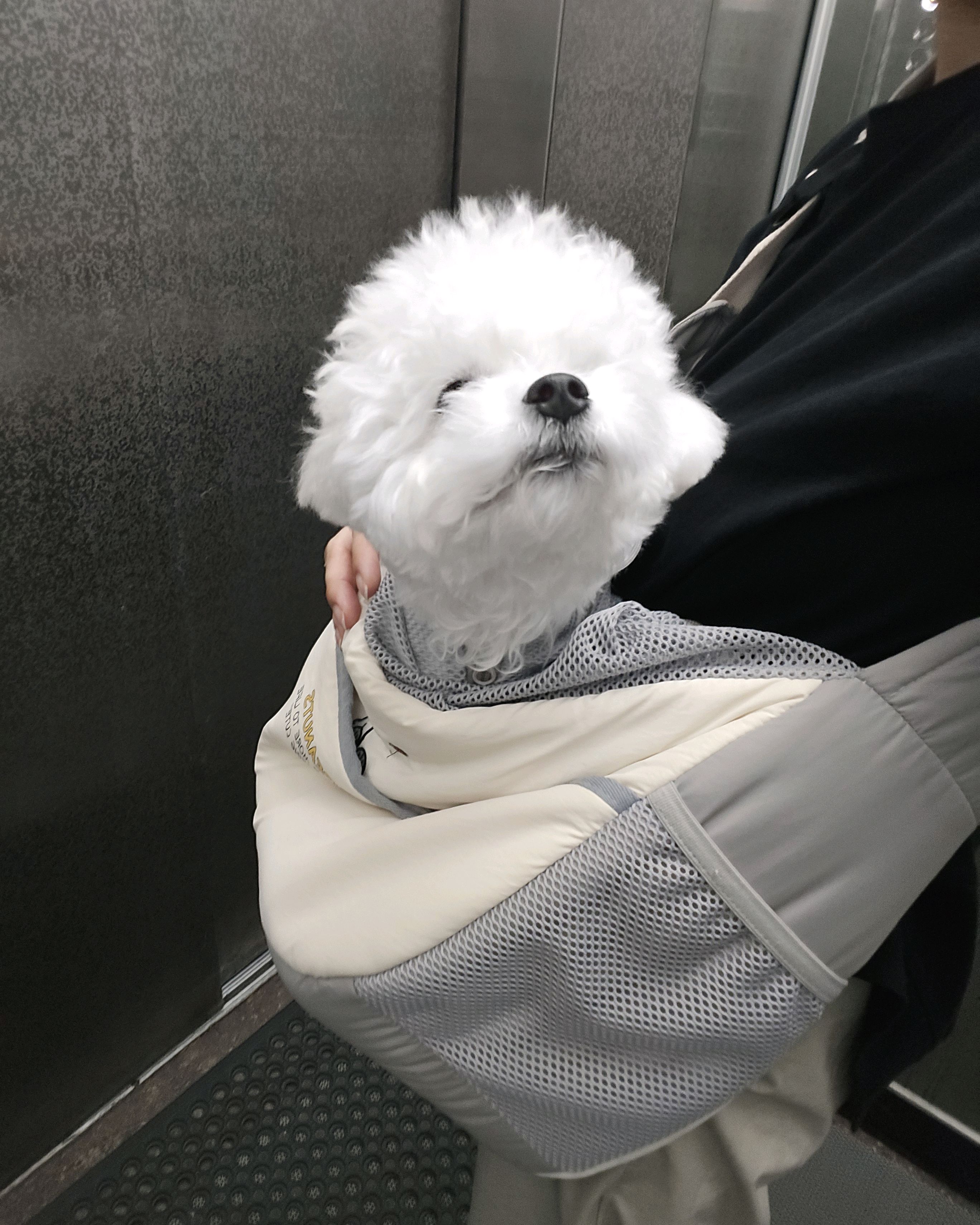 리뷰 사진 1