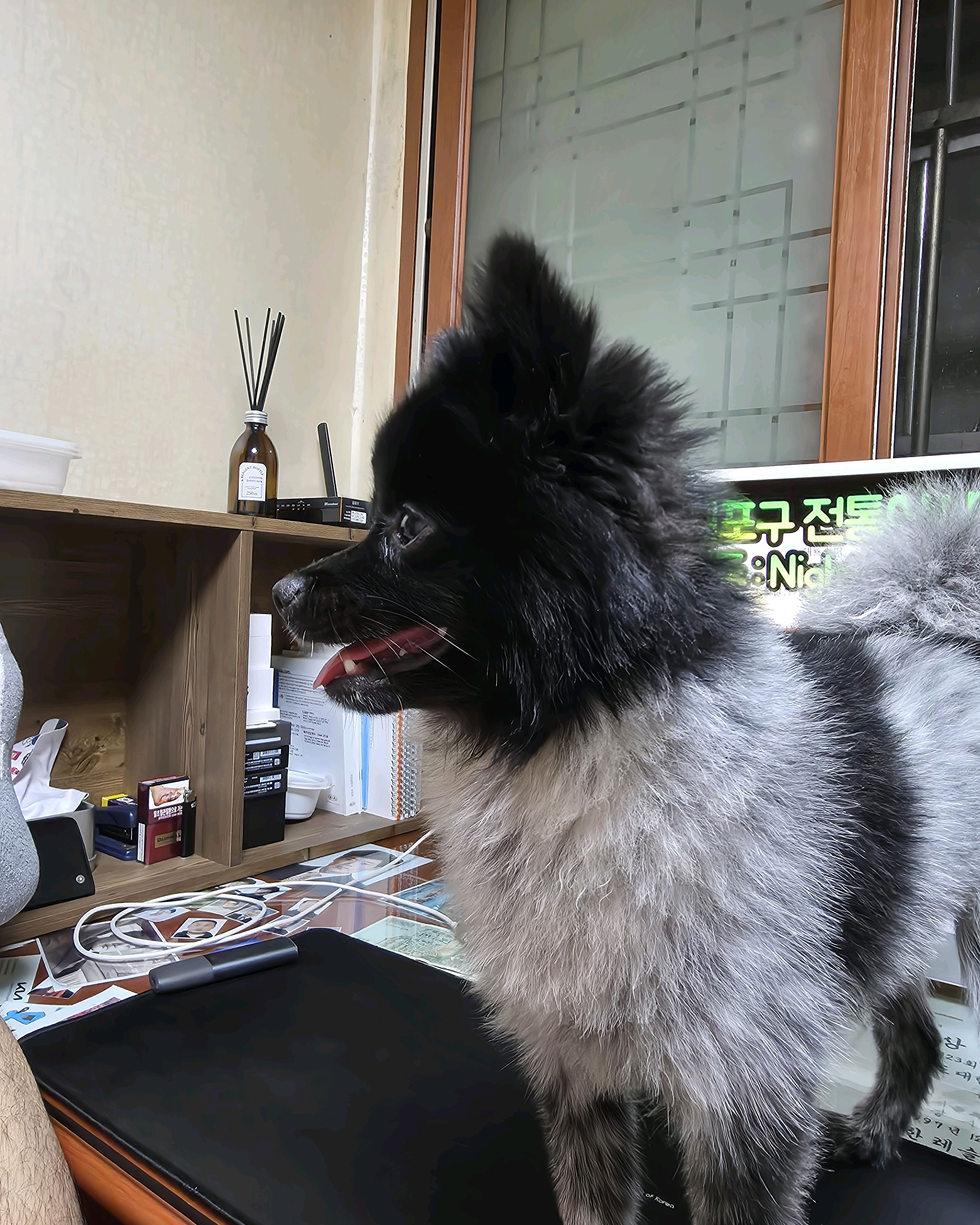 리뷰 사진 1
