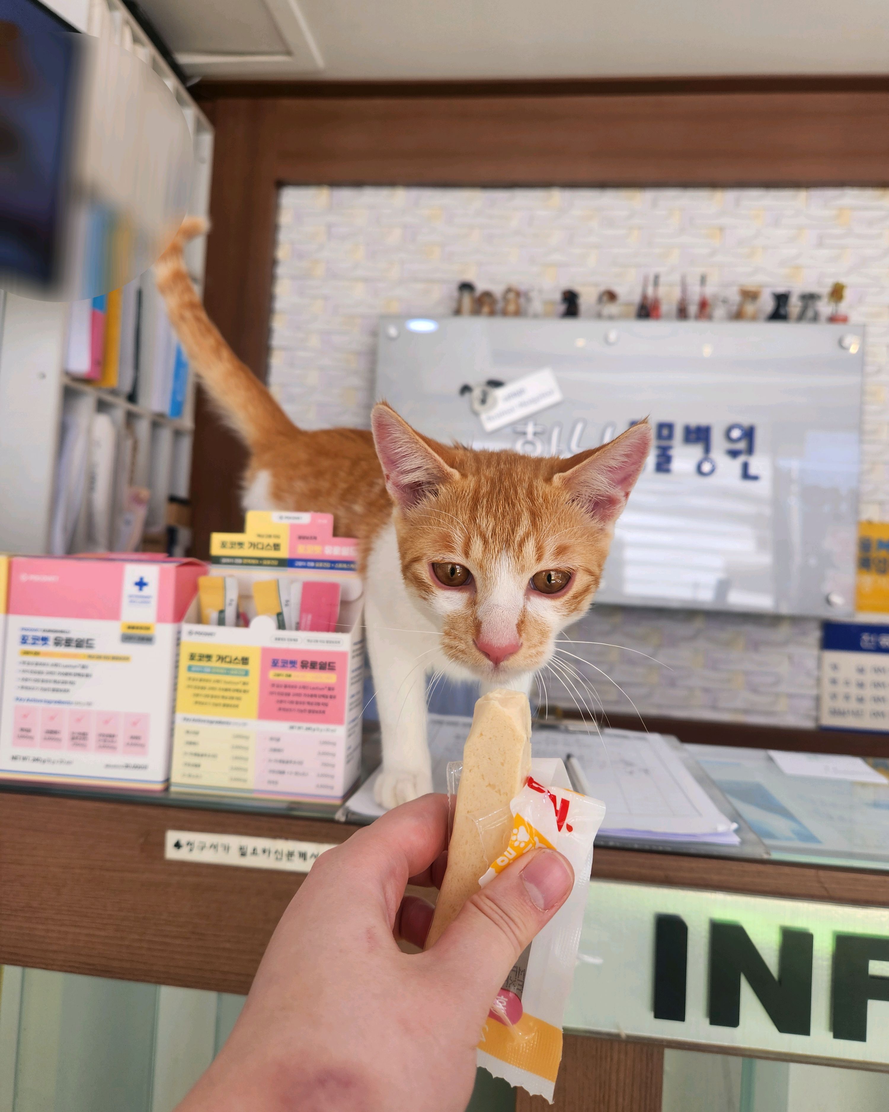 리뷰 사진 1