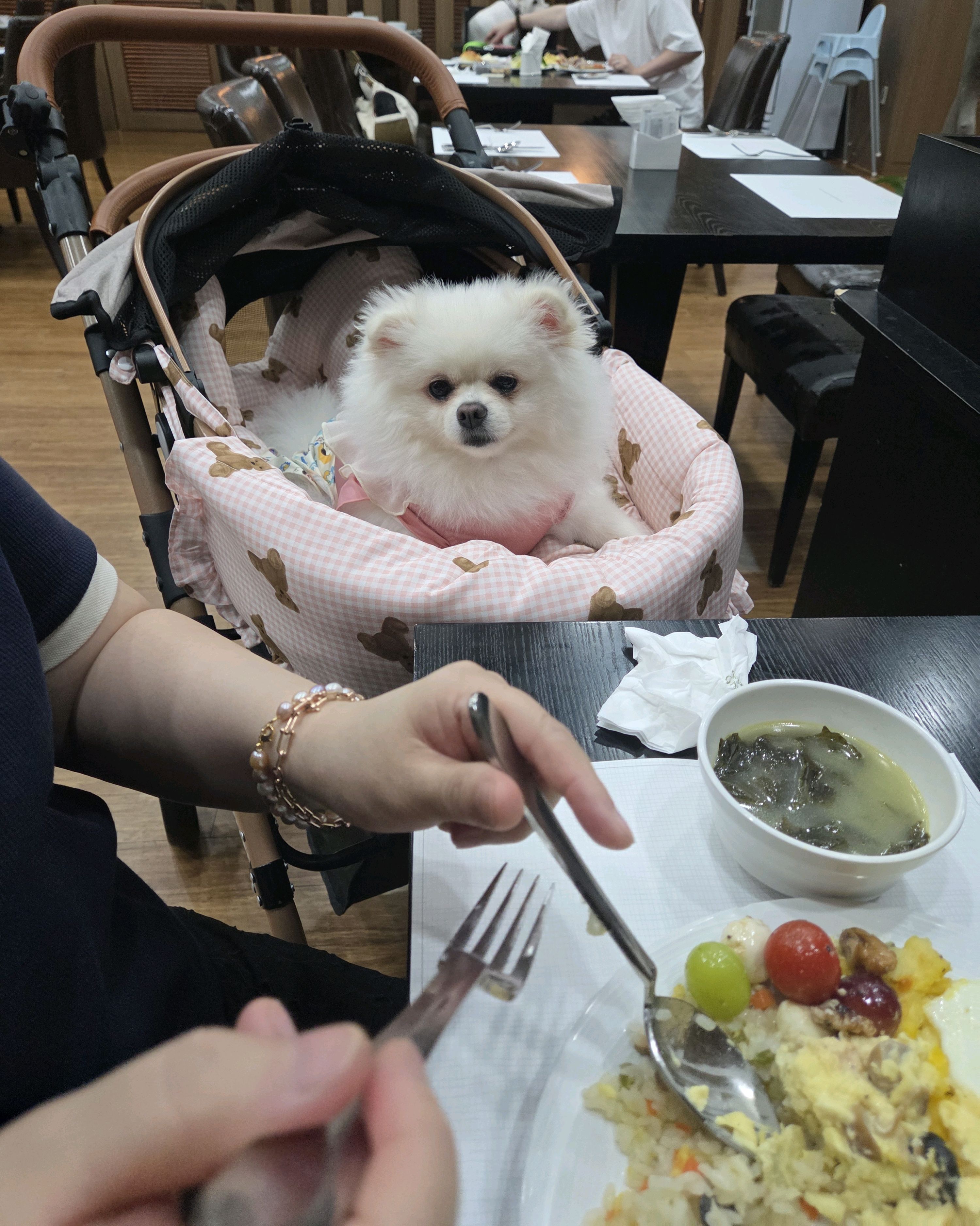 강아지가 앉아있는 유모차와 식사 중인 사람