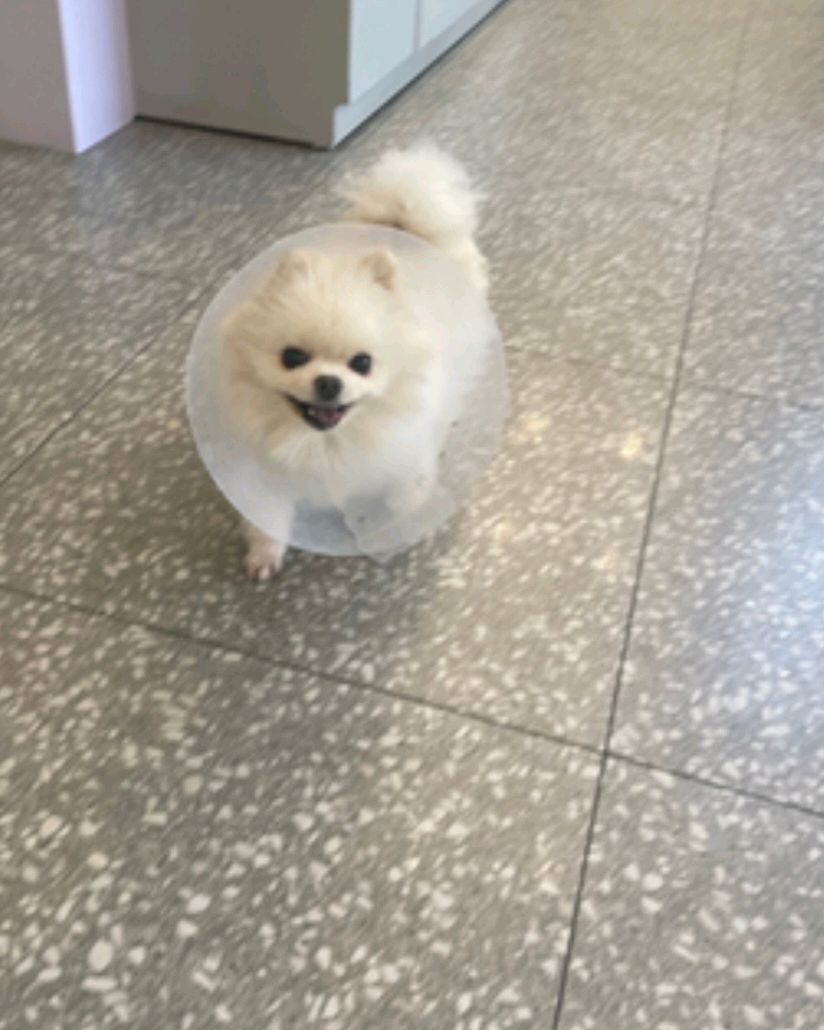 리뷰 사진 1