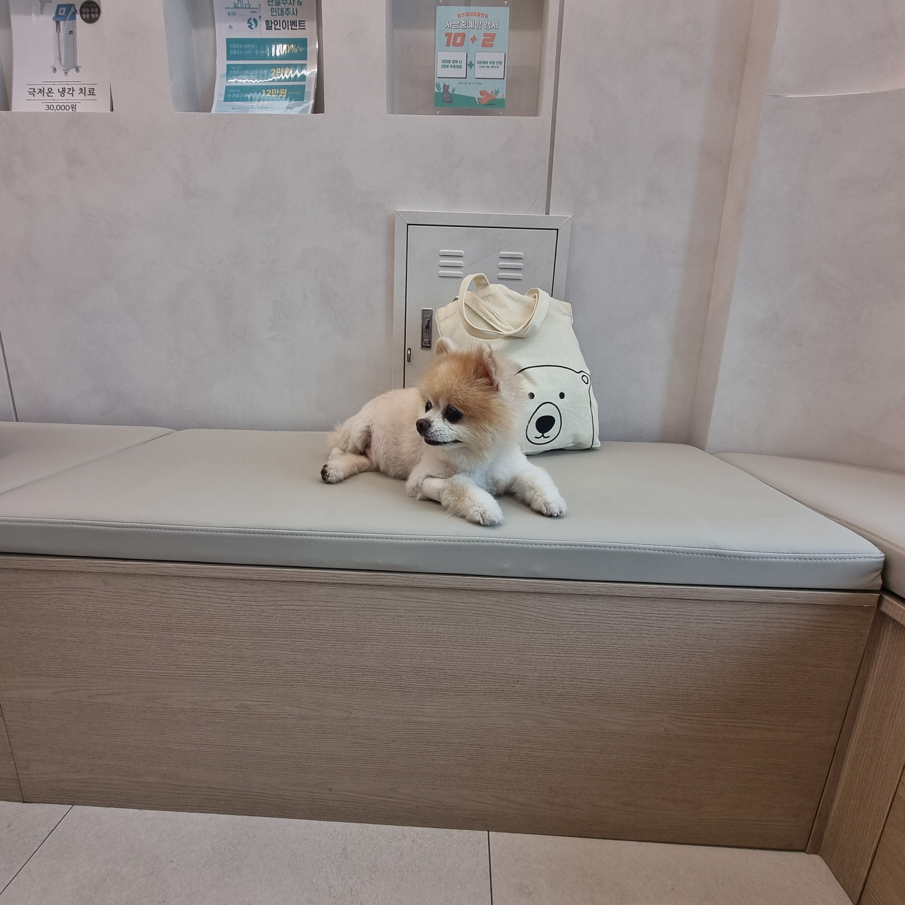 리뷰 사진 1