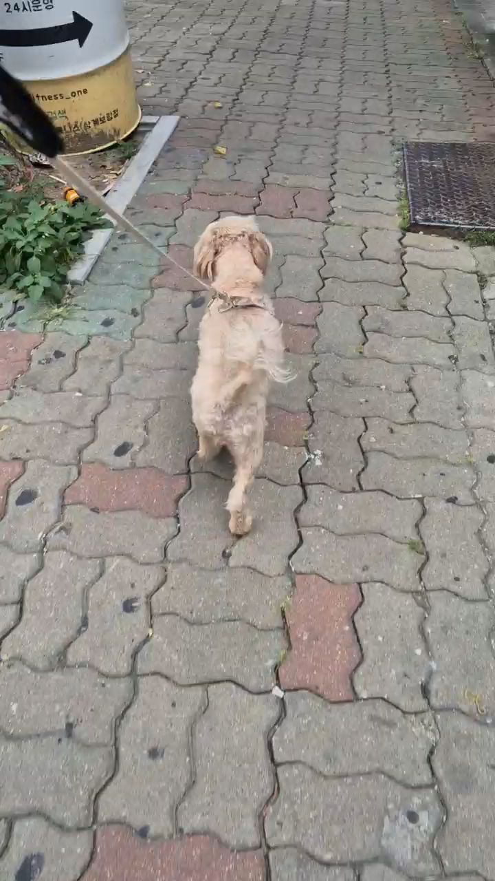 리뷰 사진 1