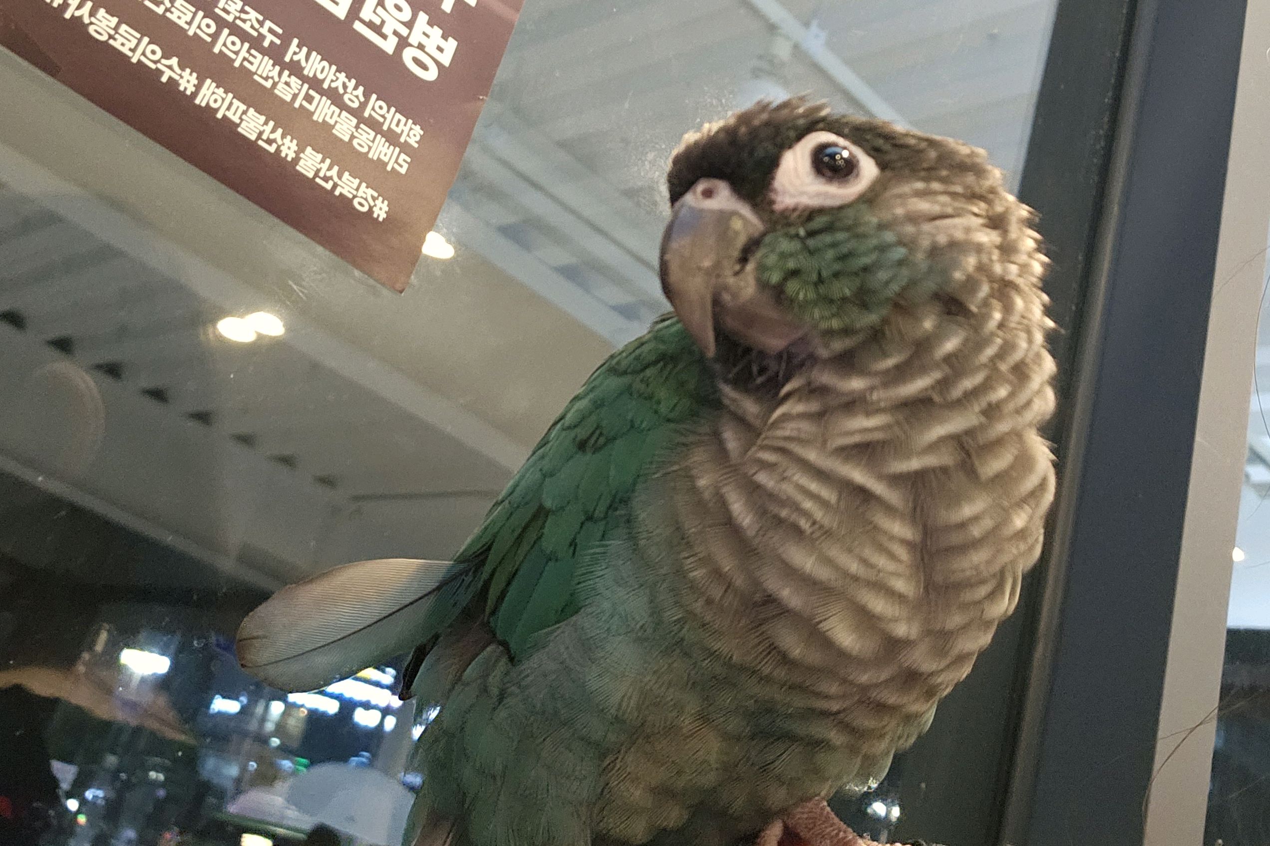 리뷰 사진 1